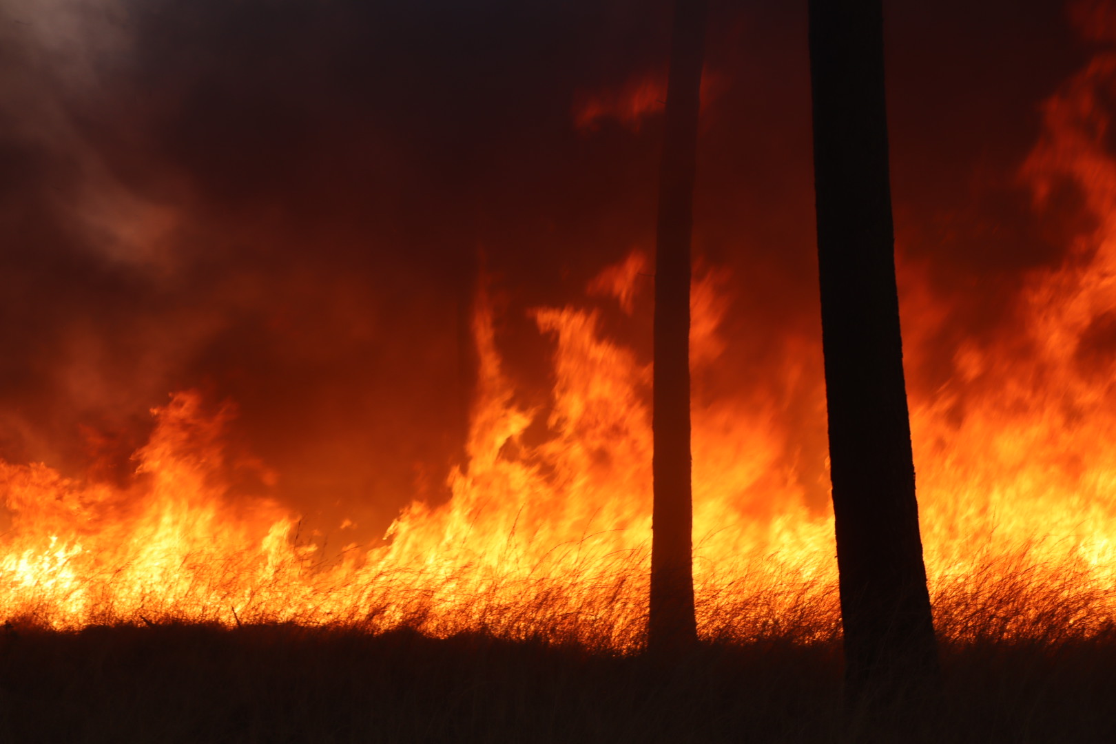 Zeer grote bosbrand, groots opgeschaald