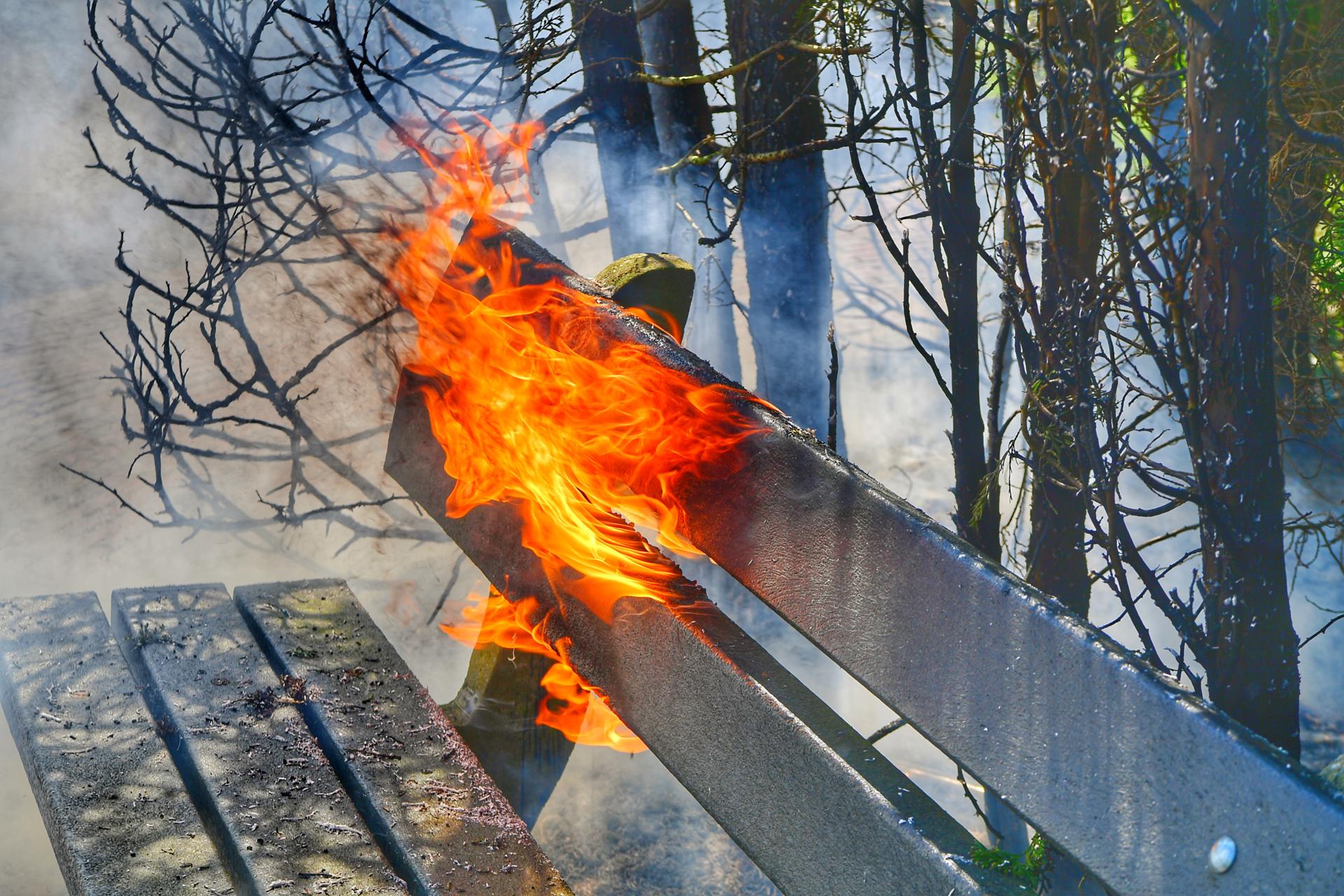 Vuur slaat over tijdens onderhoud op begraafplaats, bankje en coniferen verloren
