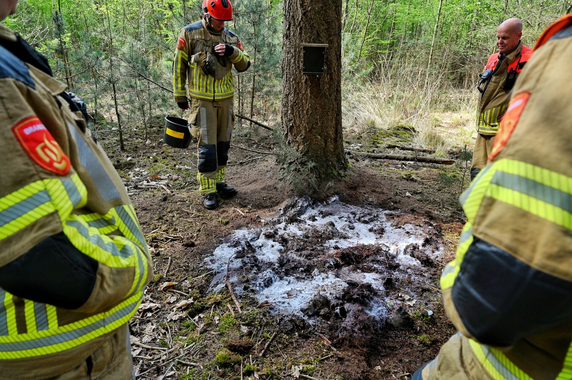 Wandelaars ontdekken bosbrand, brandweer voorkomt uitbreiding