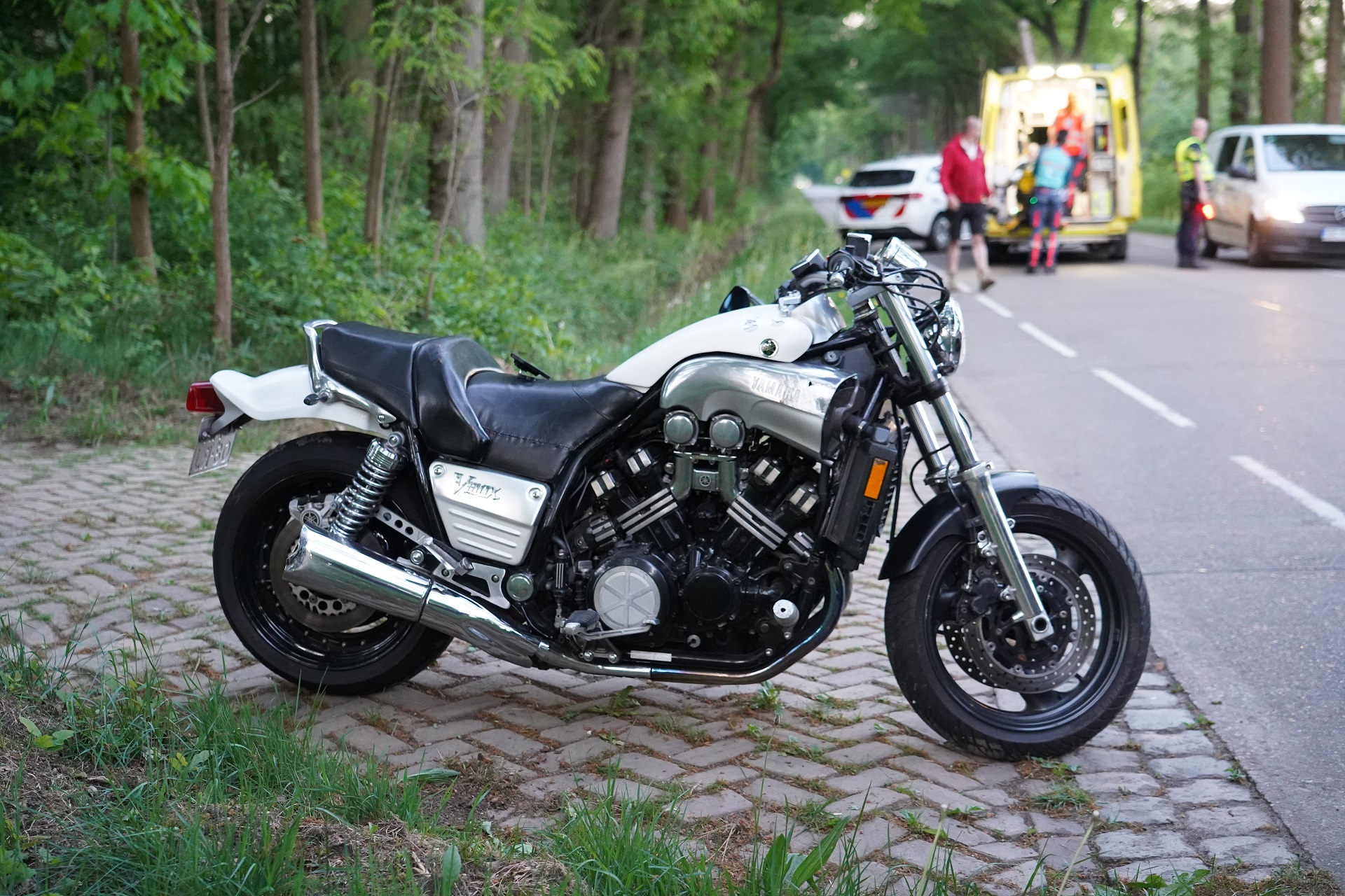 Ree overleden na botsing, motorrijder gewond