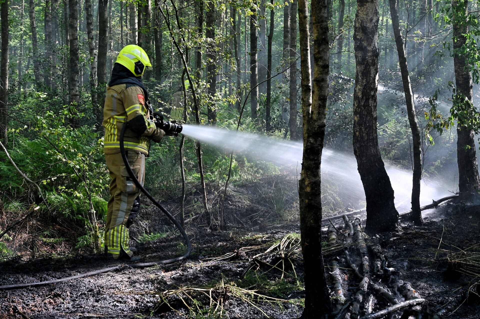 Brand in bossen van Oisterwijk mogelijk aangestoken