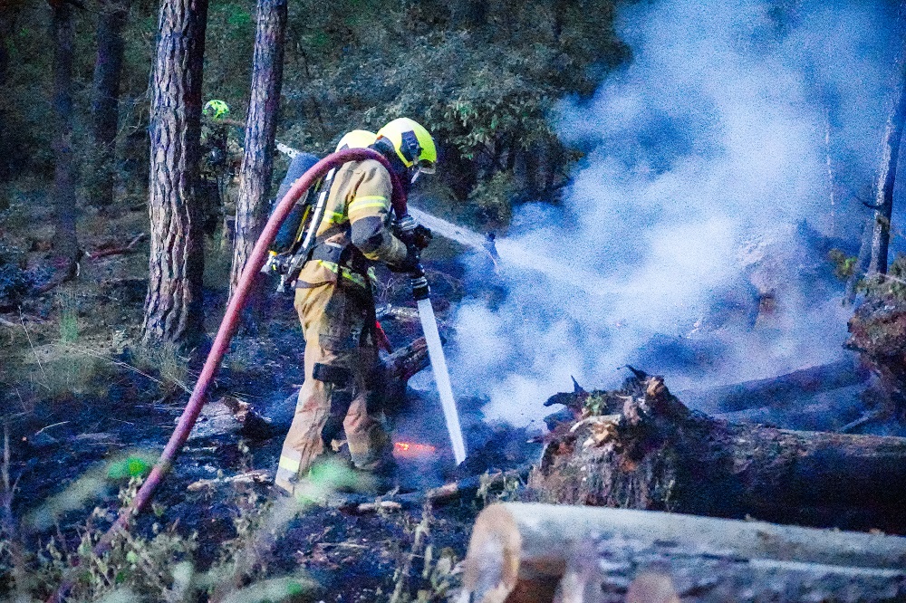 Brand legt deel bos in de as