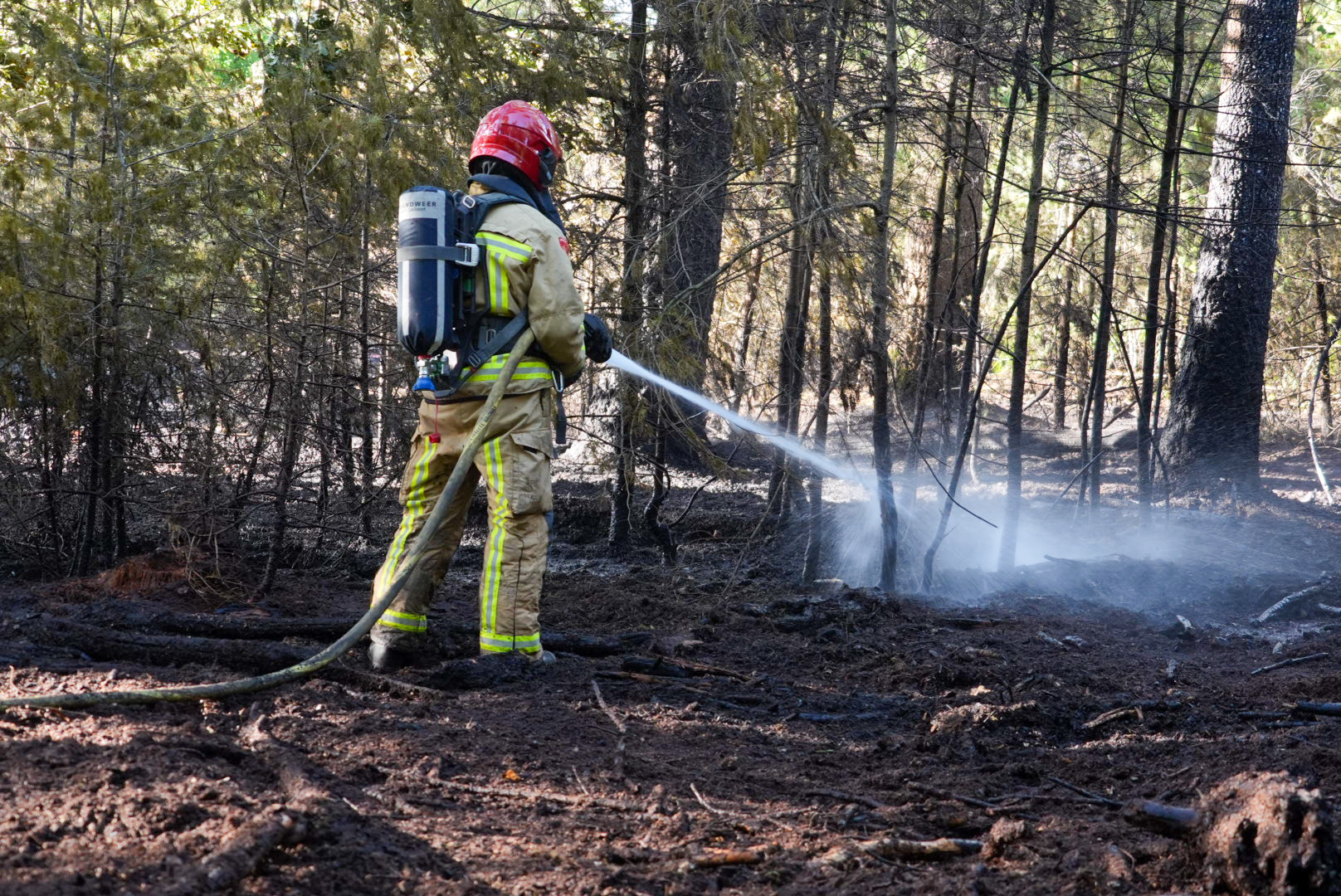 Vijf brandweerwagens ingezet bij natuurbrand