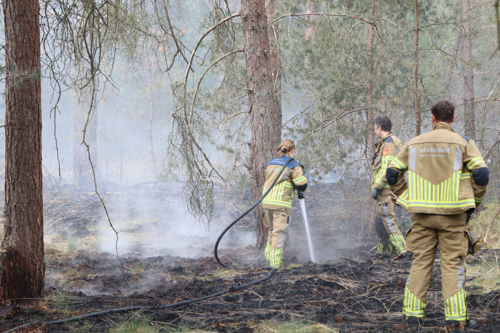 Opnieuw brand in de bossen van de Loonse en Drunense Duinen