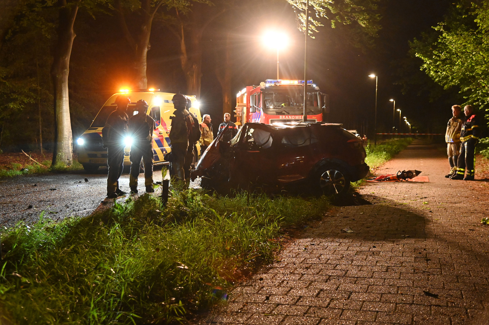 Auto botst tegen boom, bestuurder overleden