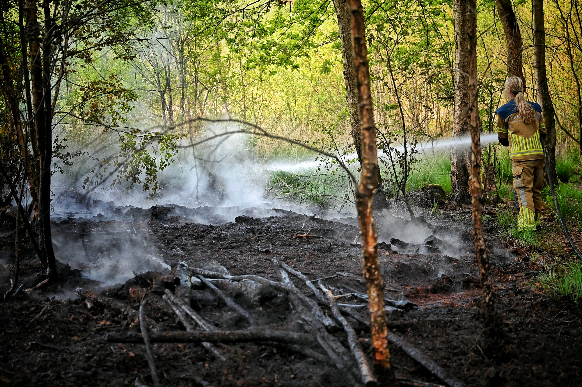 Bosbrand Oisterwijk laait weer op
