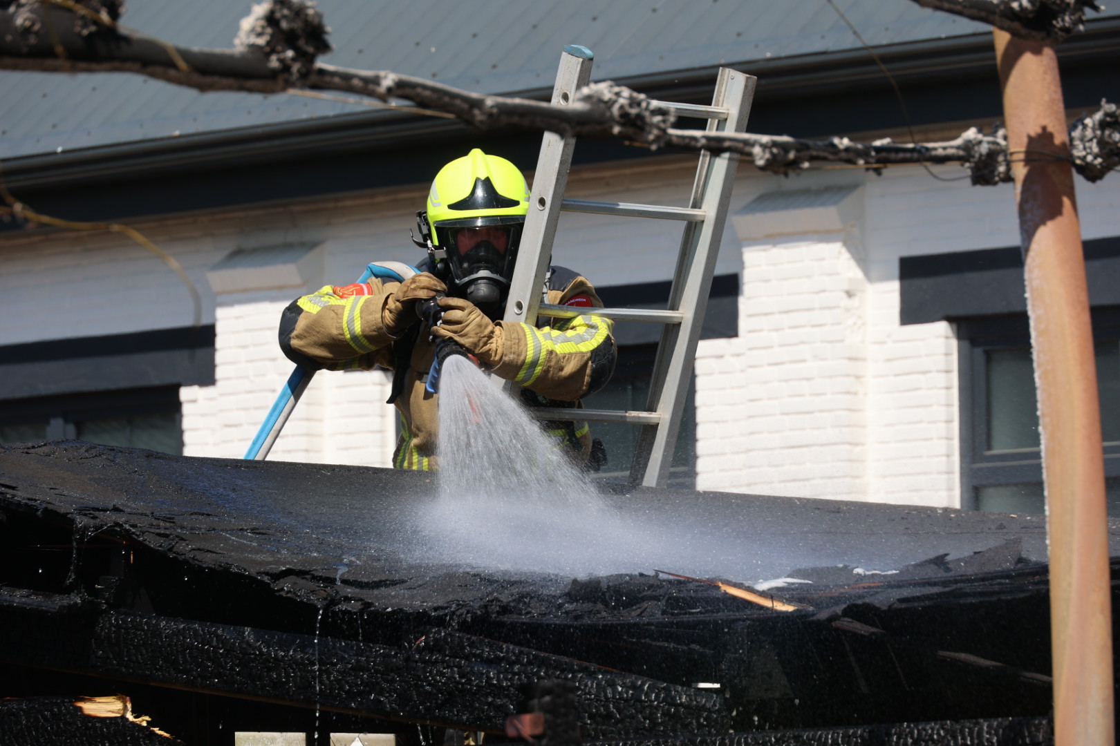 Tuinhuisje en schuttingen verwoest bij felle brand