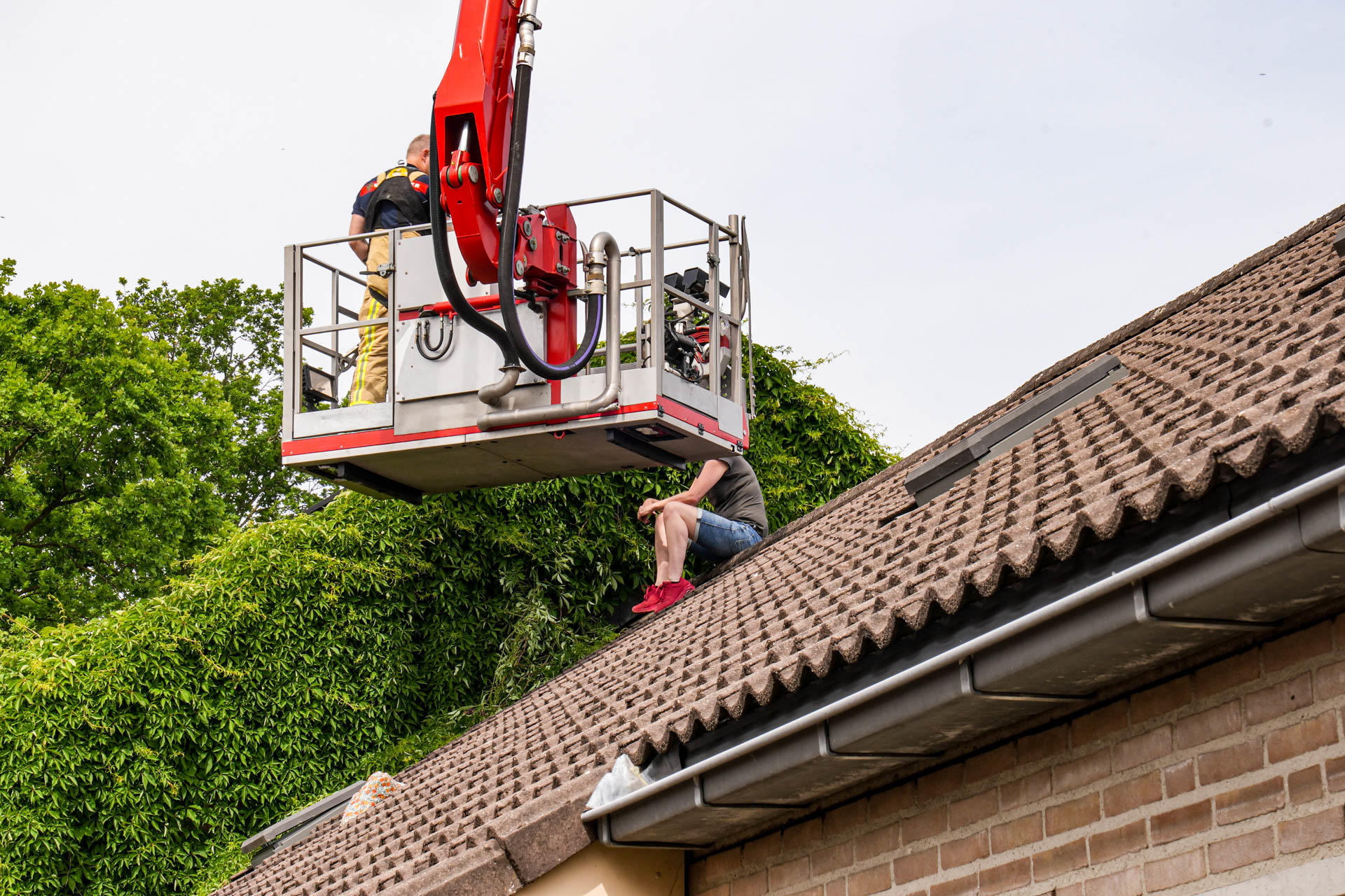 Snoeihulp eindigt op dak: brandweer redt buurvrouw uit benarde positie