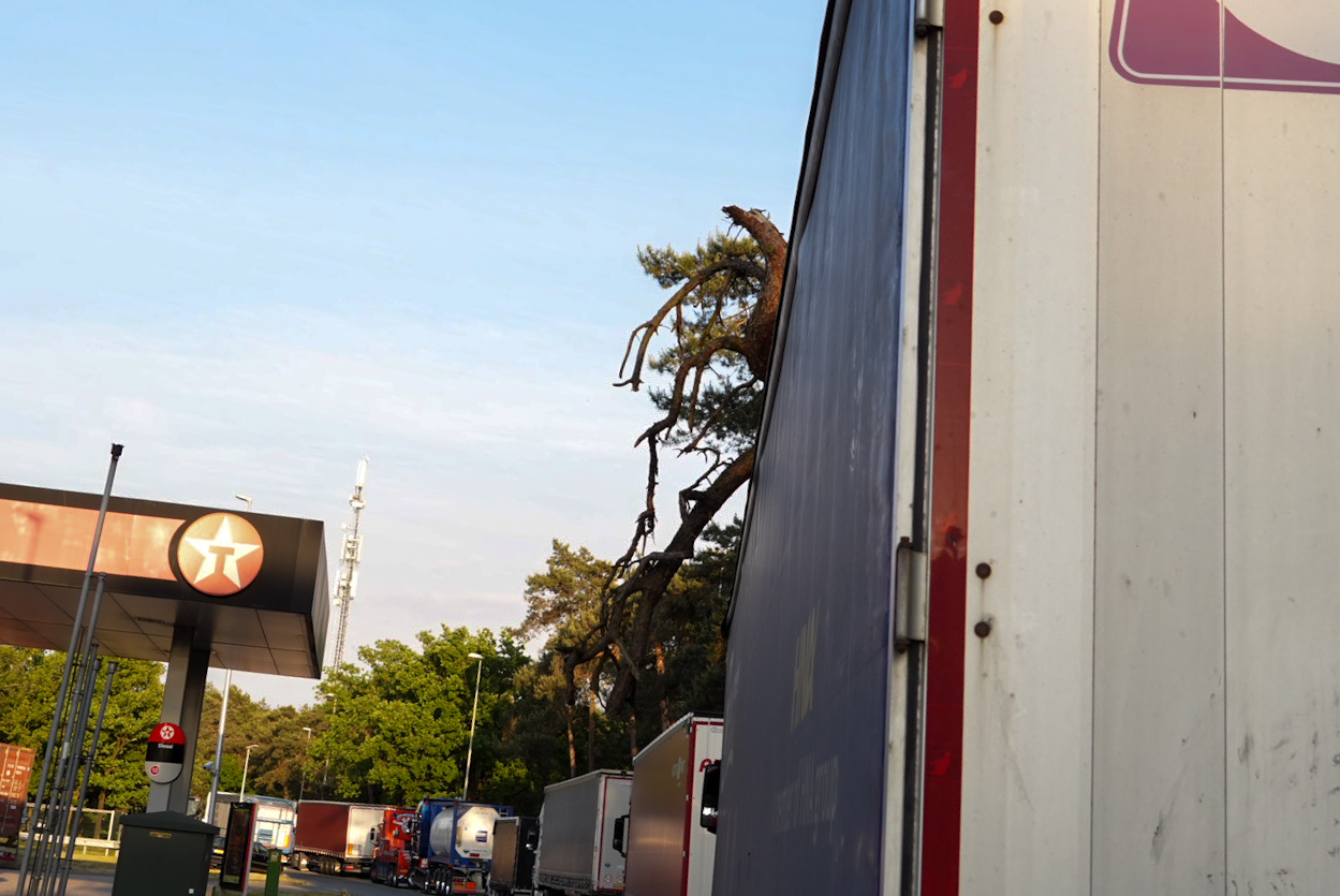 Boom valt op vrachtwagen langs A67, parkeerplaats tijdelijk afgesloten