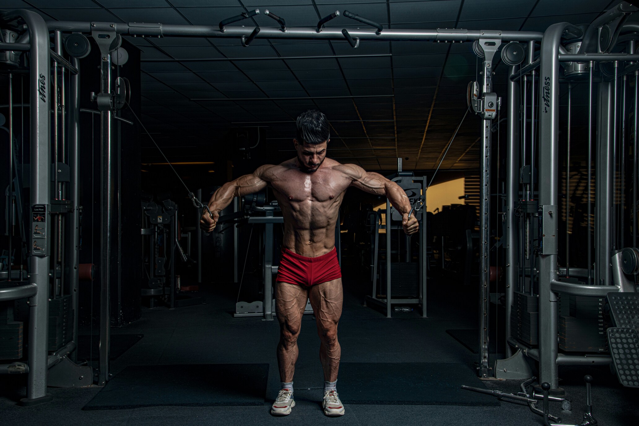 Spiergroei Ontleed: Wat Er Echt in je Lichaam Gebeurt bij Krachttraining