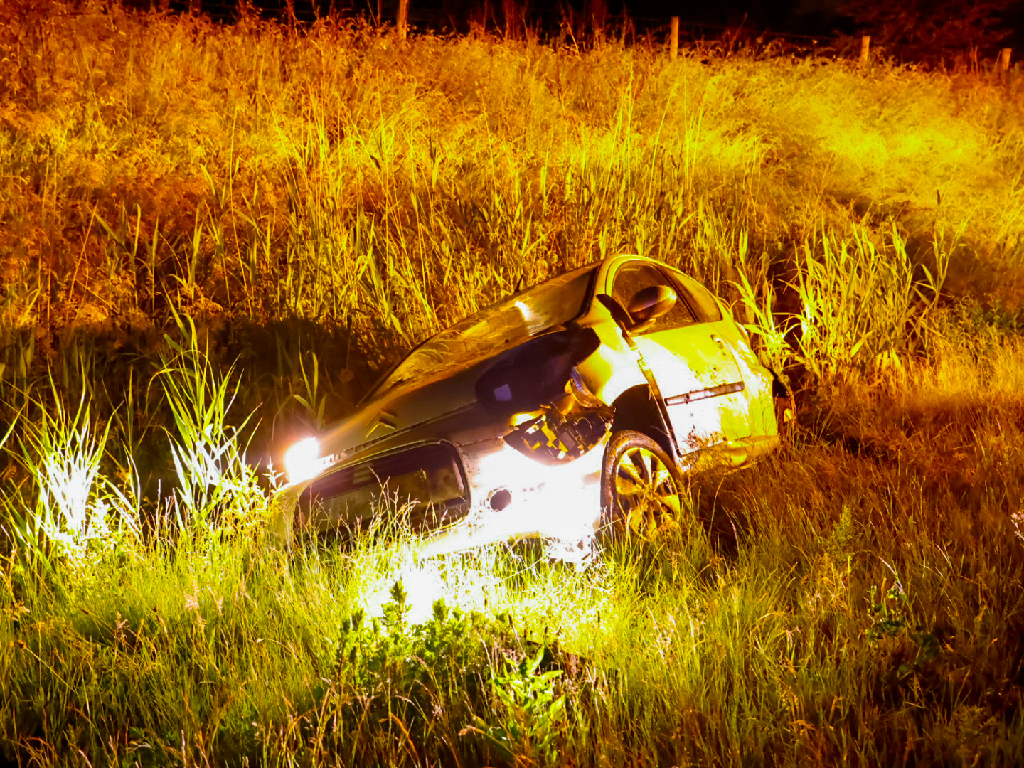 Automobilist wijkt uit voor dier en belandt in greppel