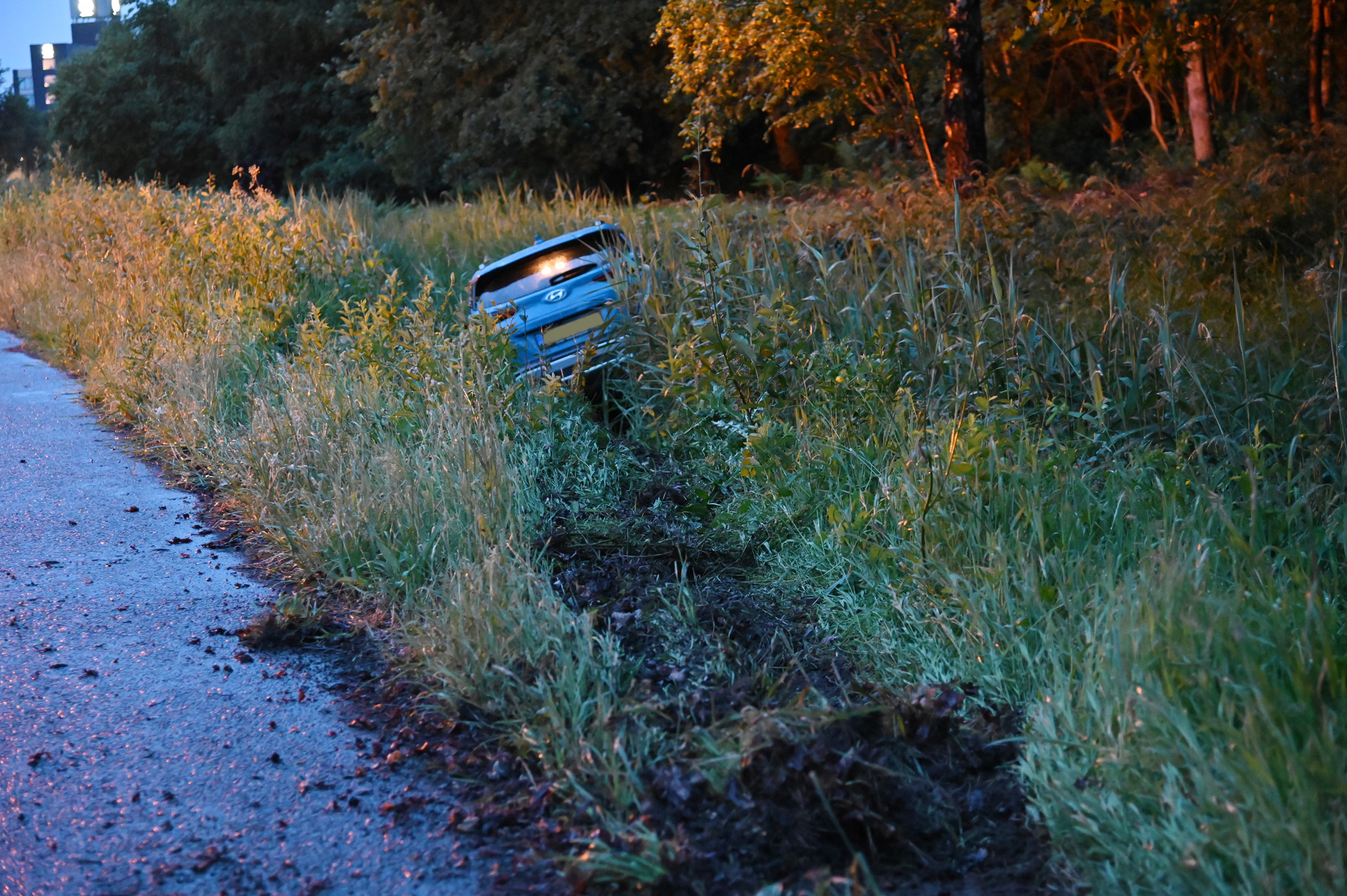 Auto raakt van de weg en belandt in sloot