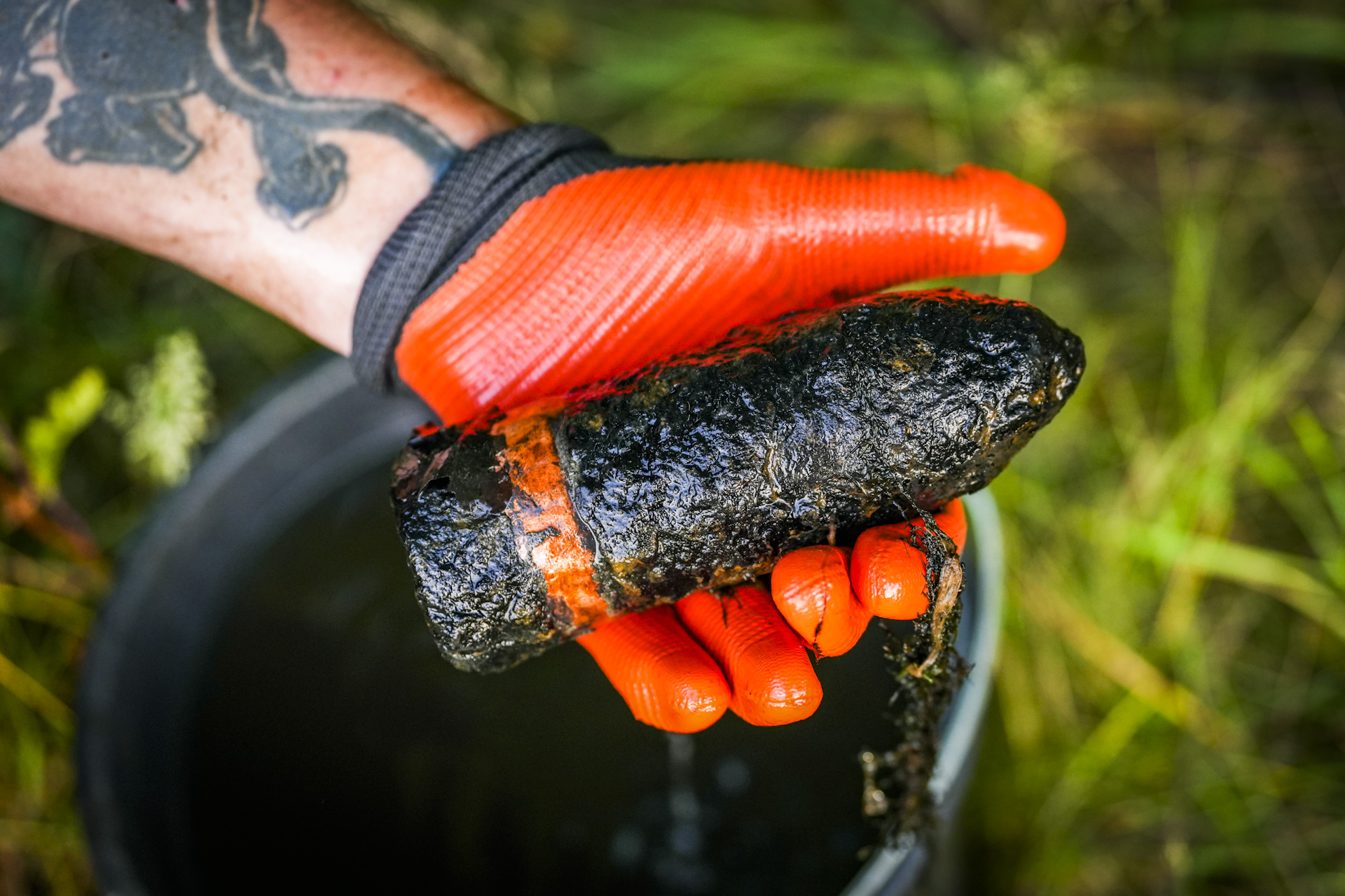 Magneetvisser vindt explosief, EOD ingeschakeld