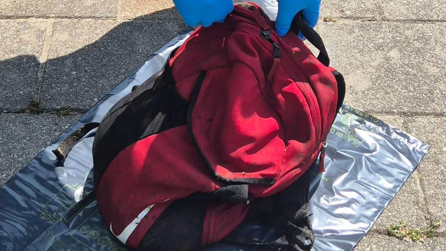 Dode kat in water gevonden met zware halter aan nek