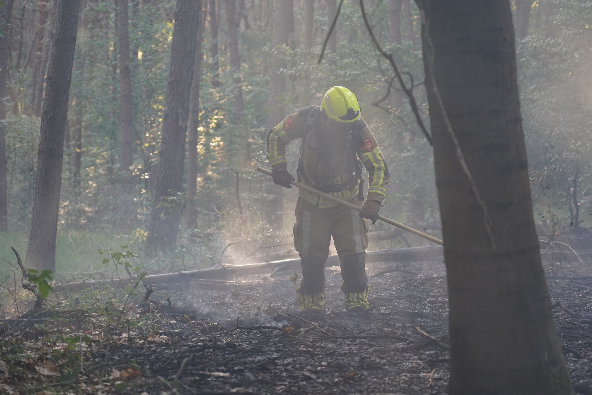 2500 vierkante meter bos verwoest door brand