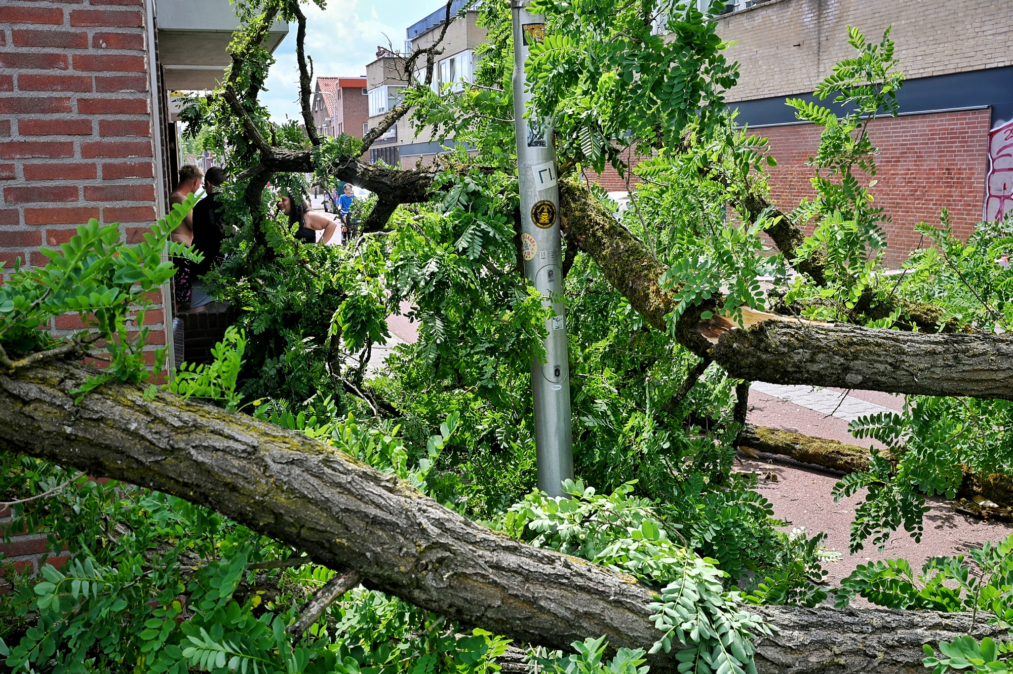 Boom valt om en veroorzaakt schade aan woning