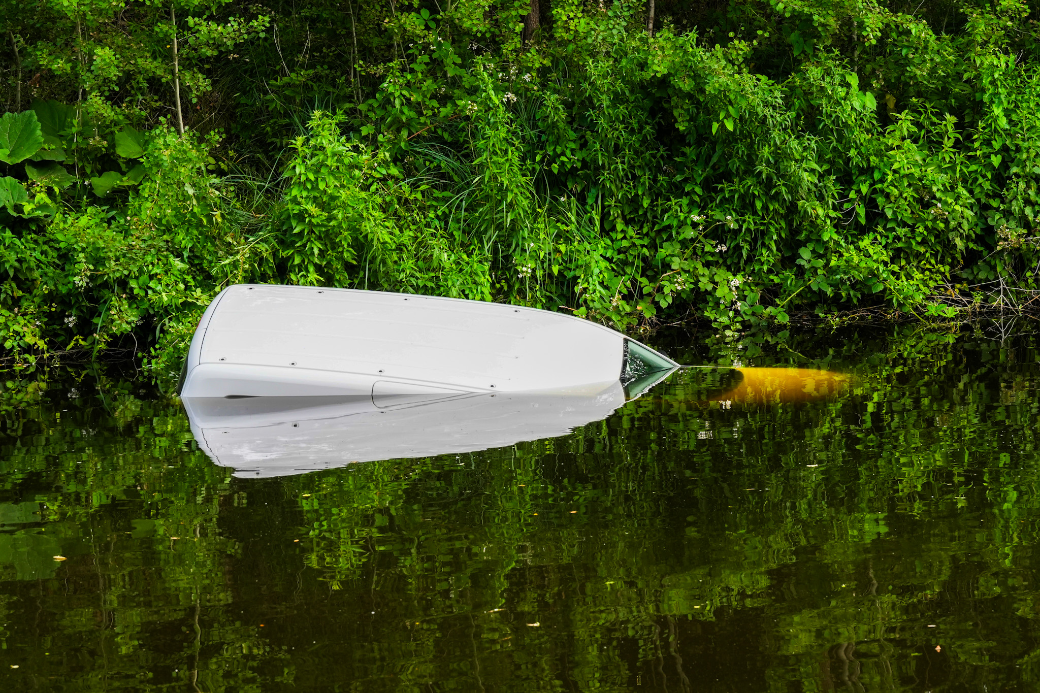Auto te water terwijl eigenaar de hond uit laat