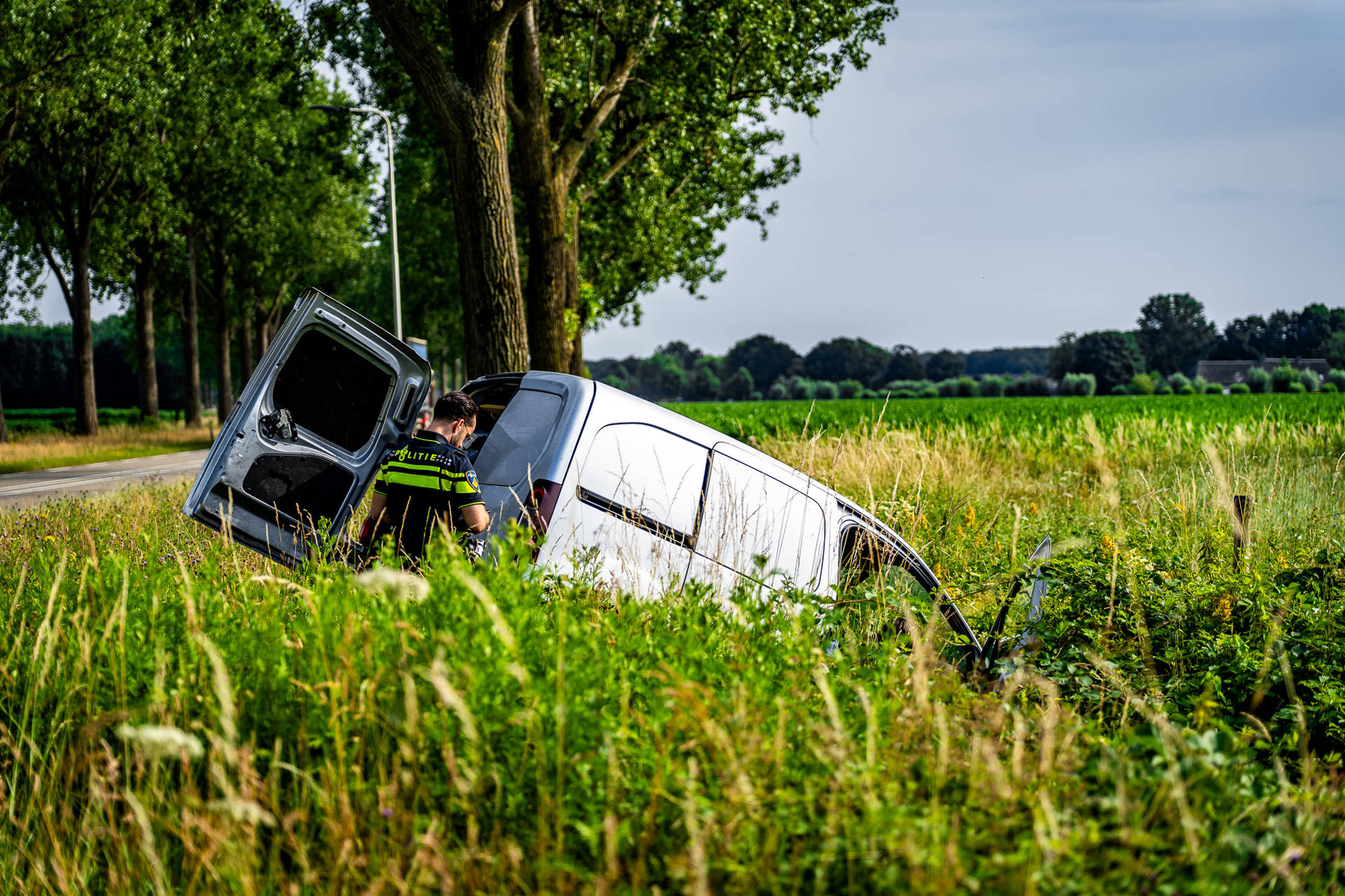 Bestelbus ramt verkeersbord en eindigt in de sloot, bestuurder gewond