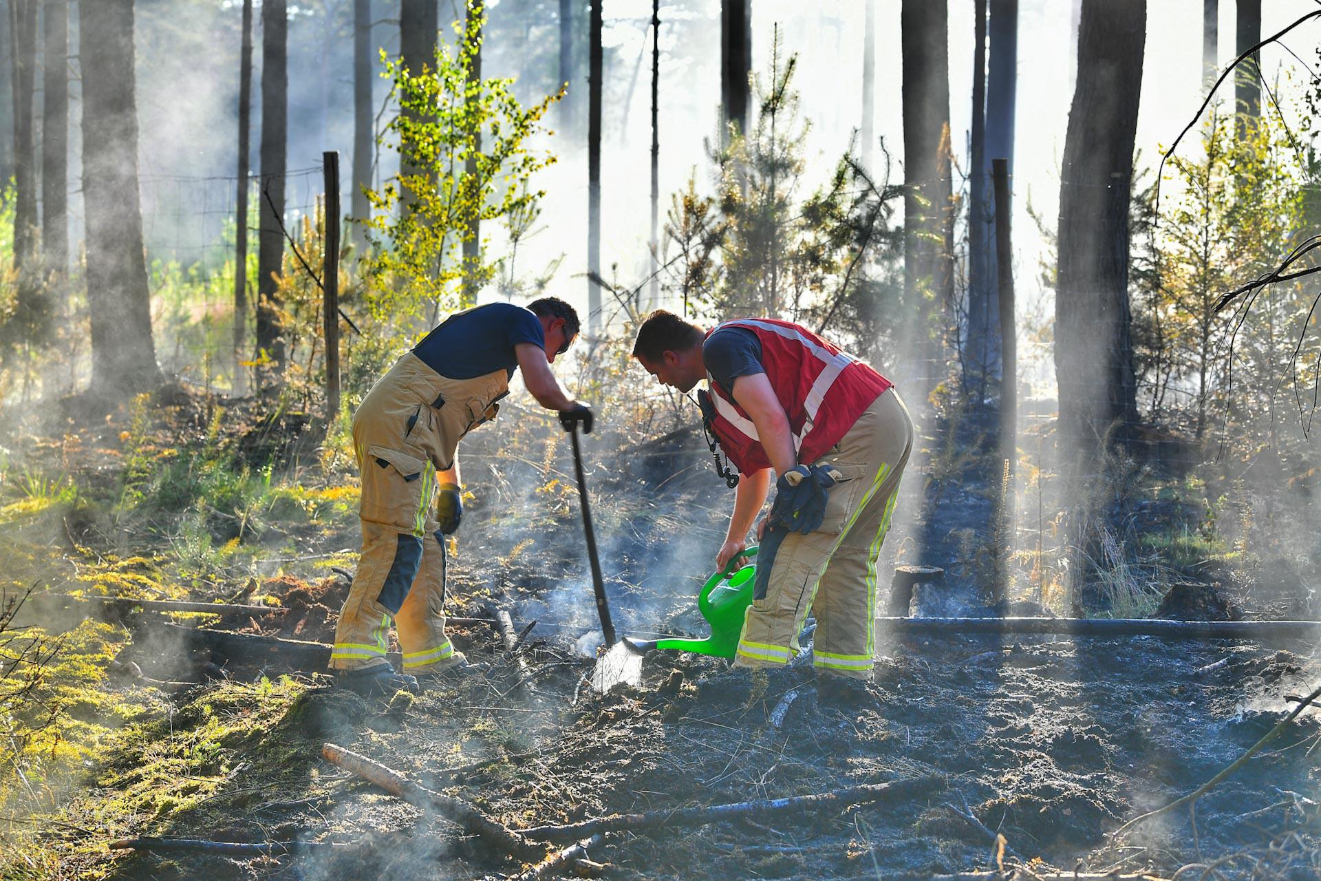 Brand in natuurgebied: groot aantal hulpdiensten rukt uit