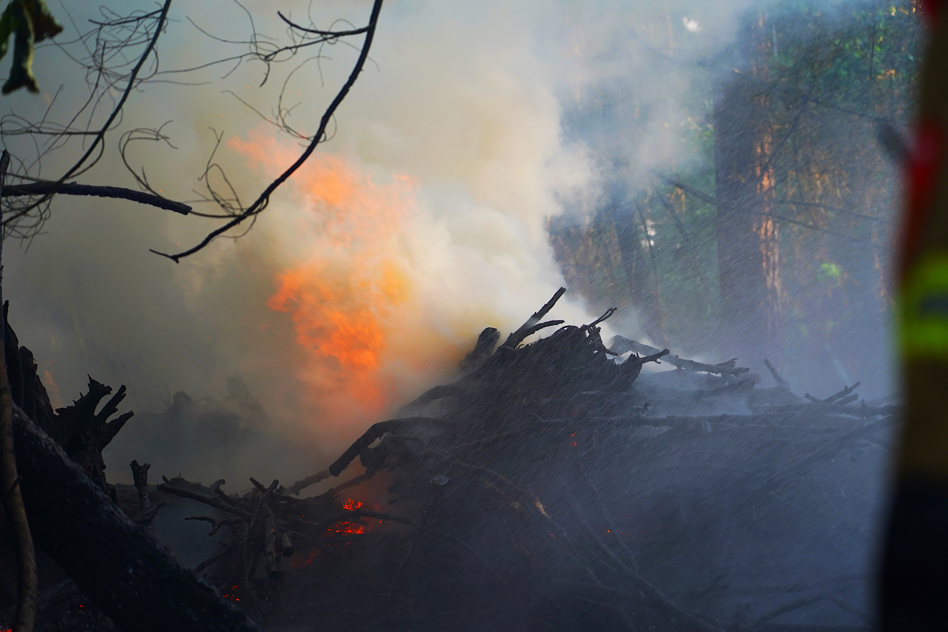 Felle bosbrand veroorzaakt dikke rookwolken in buitengebied