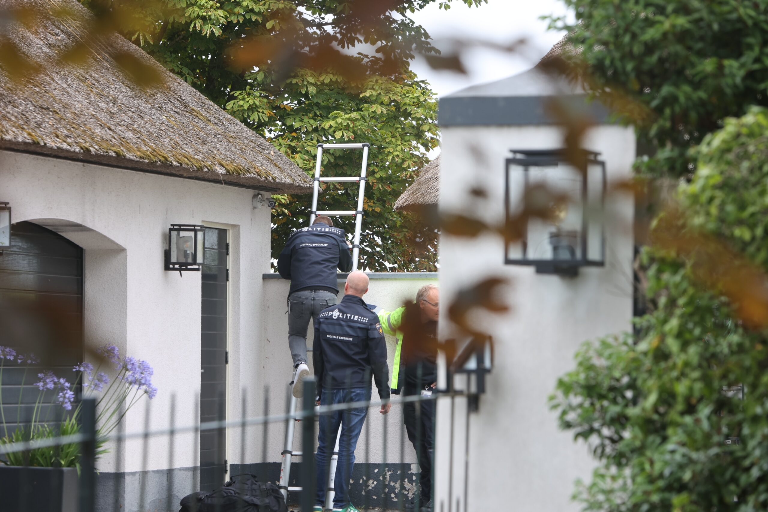 Vrouw doodgereden: twee aanhoudingen en beschadigde BMW gevonden