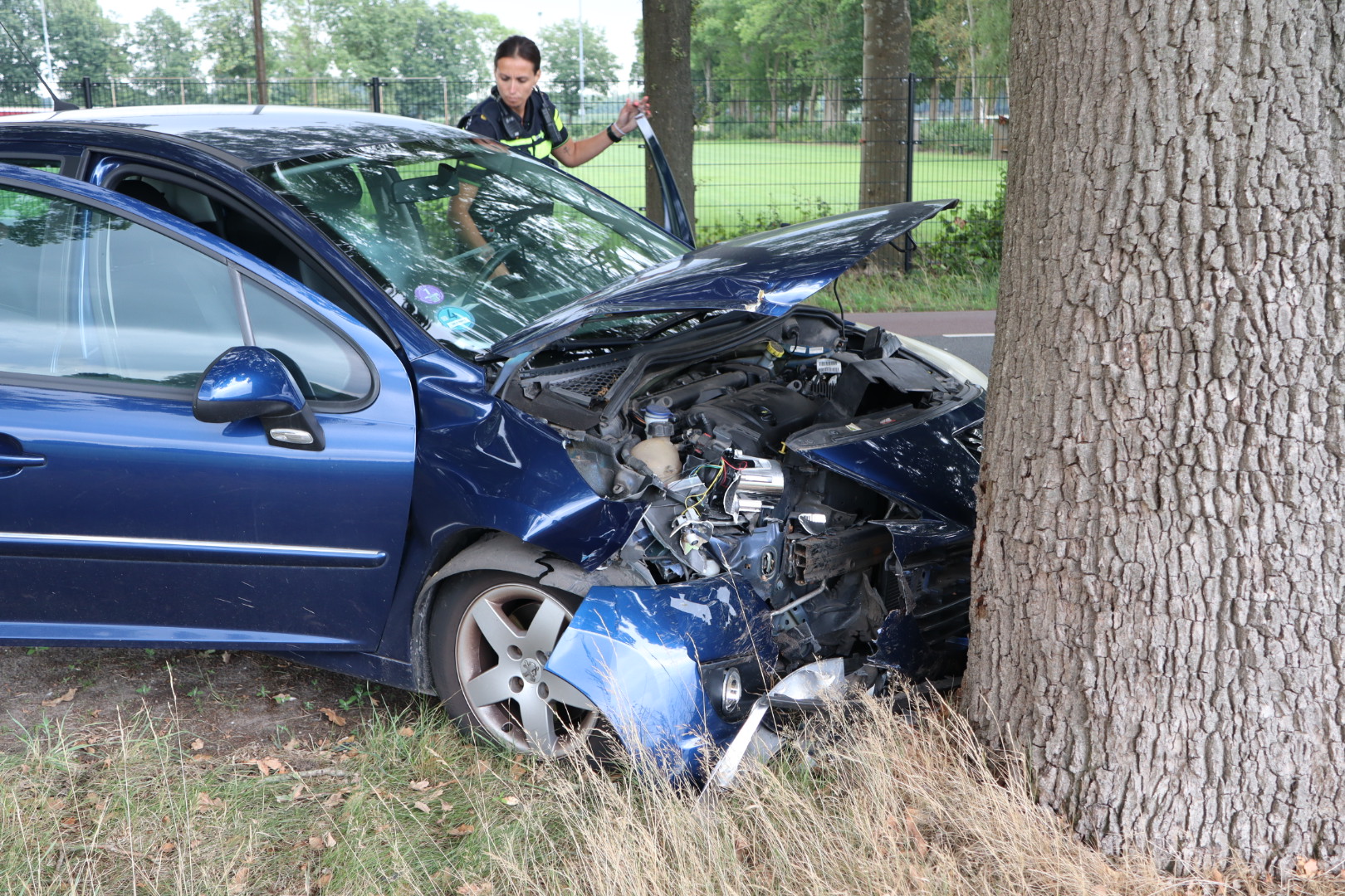 Auto botst tegen boom, vrouw naar ziekenhuis gebracht