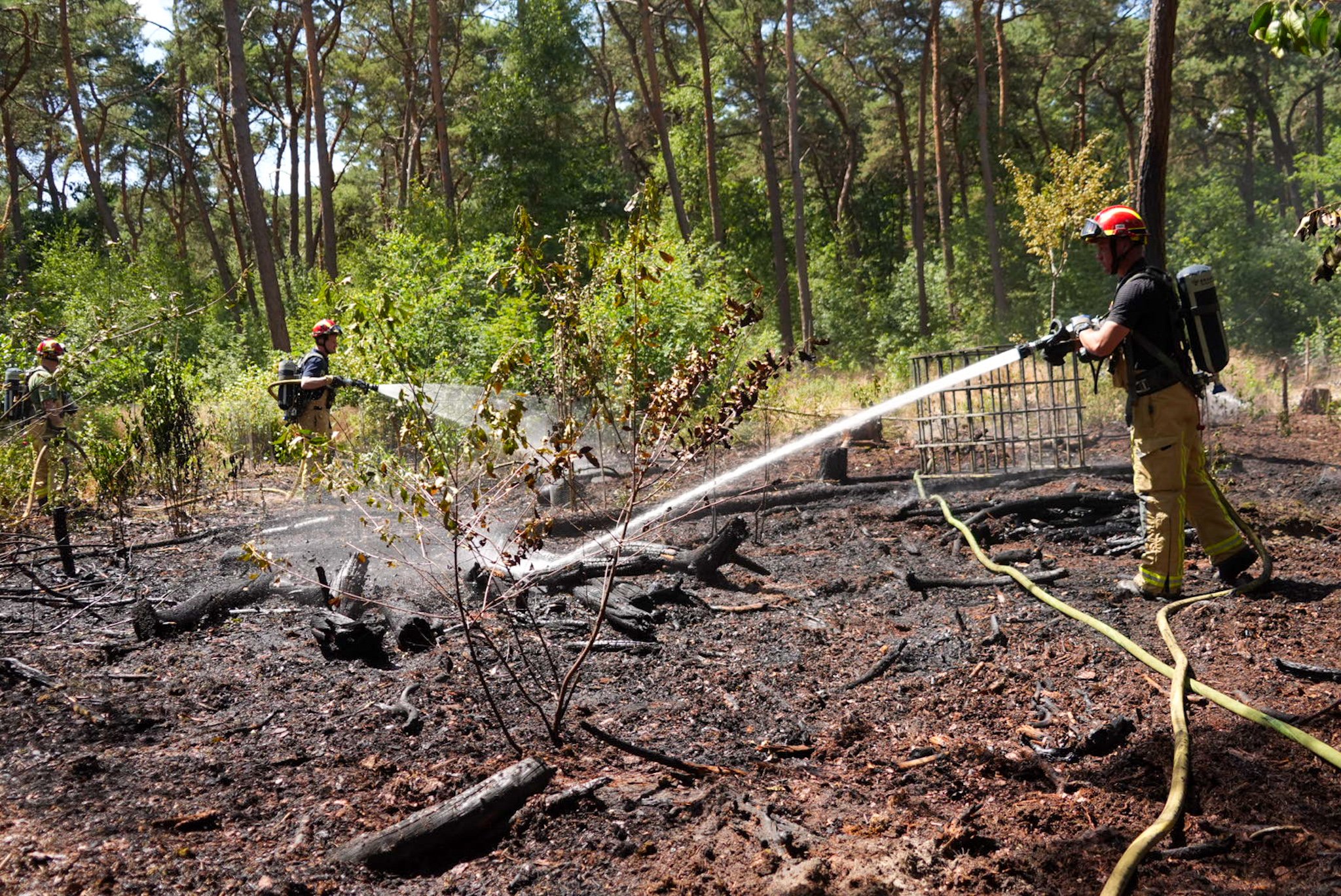 Brandweer rukt massaal uit voor bosbrand