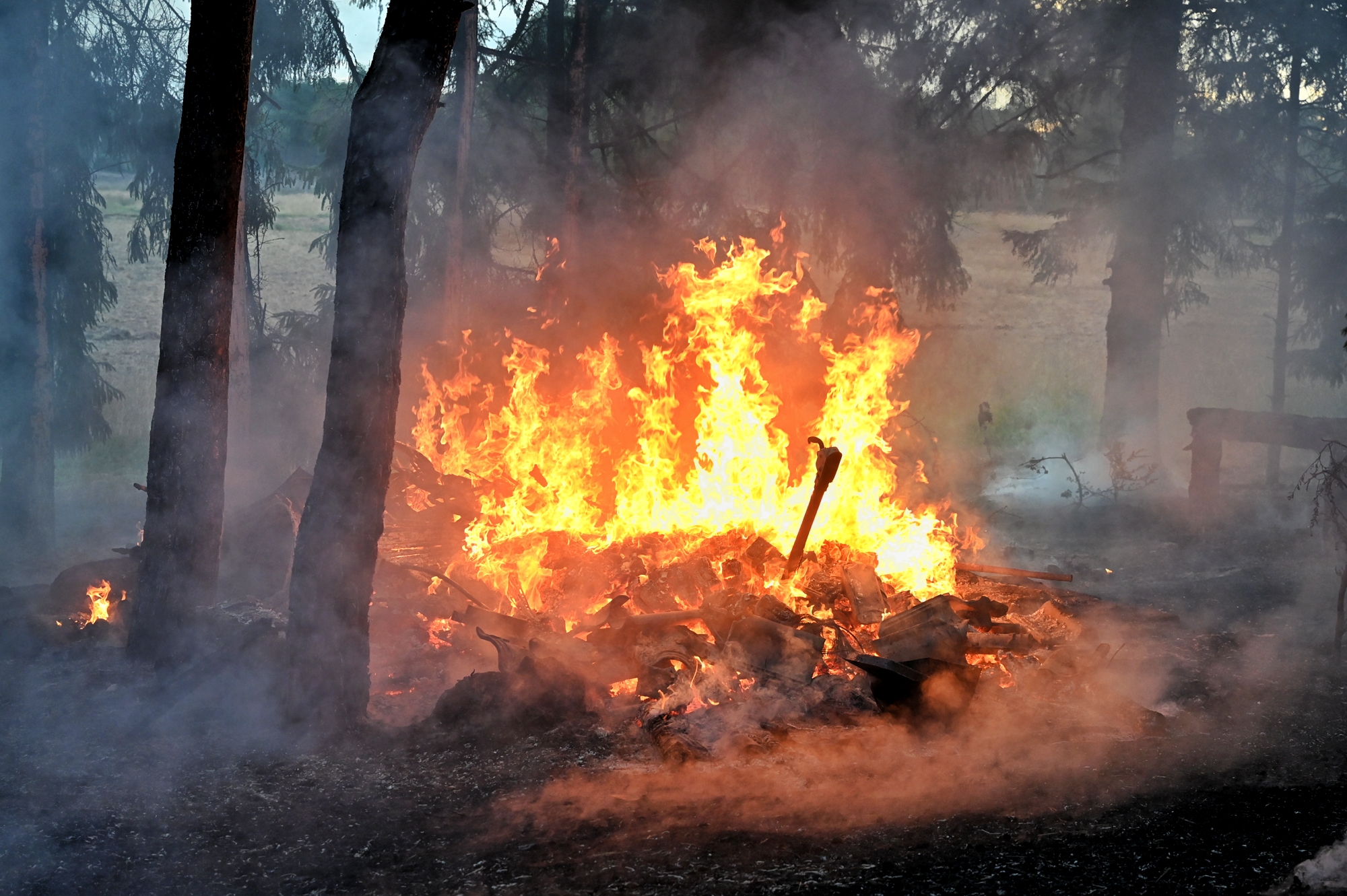 Keet in bosgebied geheel uitgebrand, mogelijk brandstichting