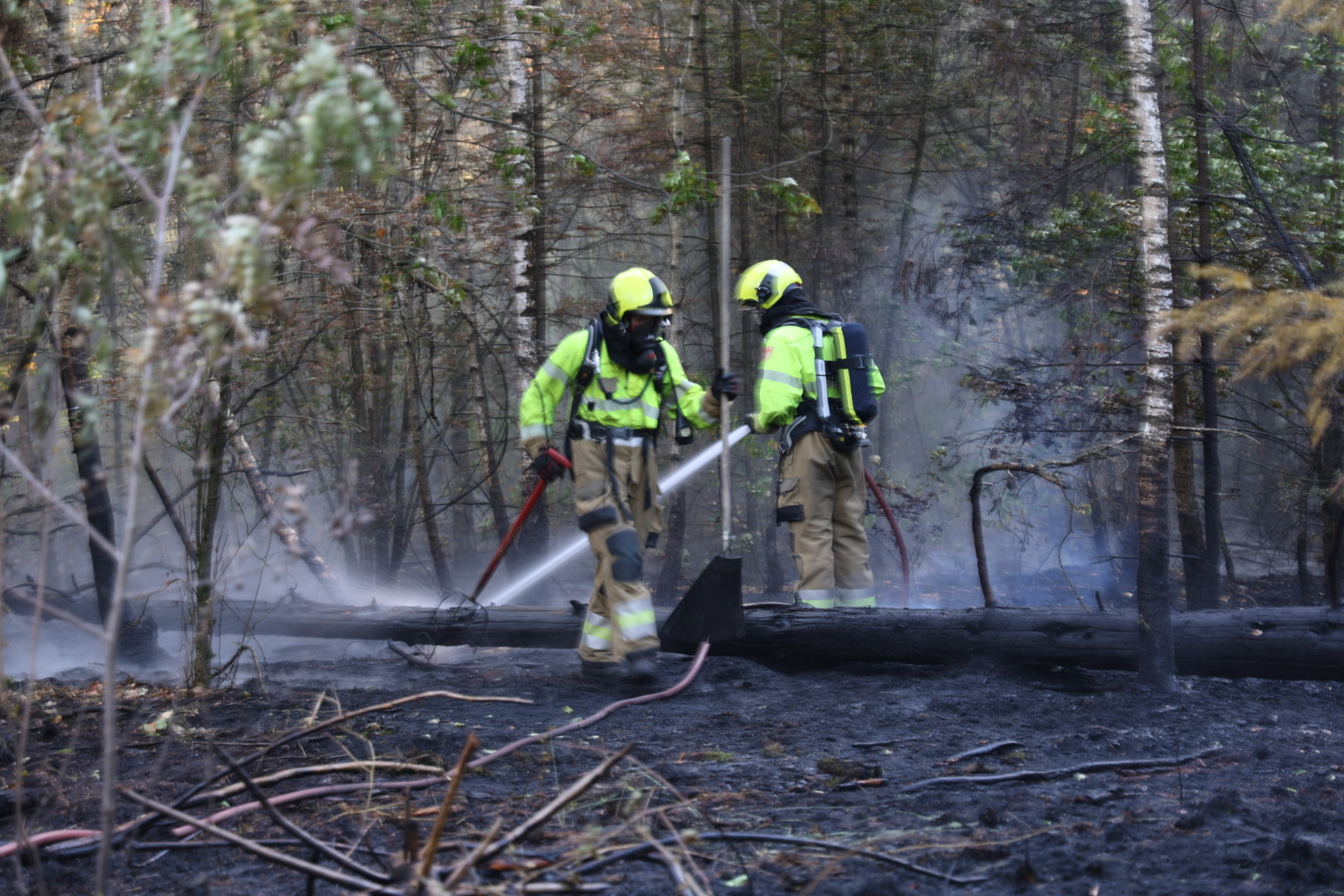 Grote bosbrand zorgt voor afsluiting provinciale weg