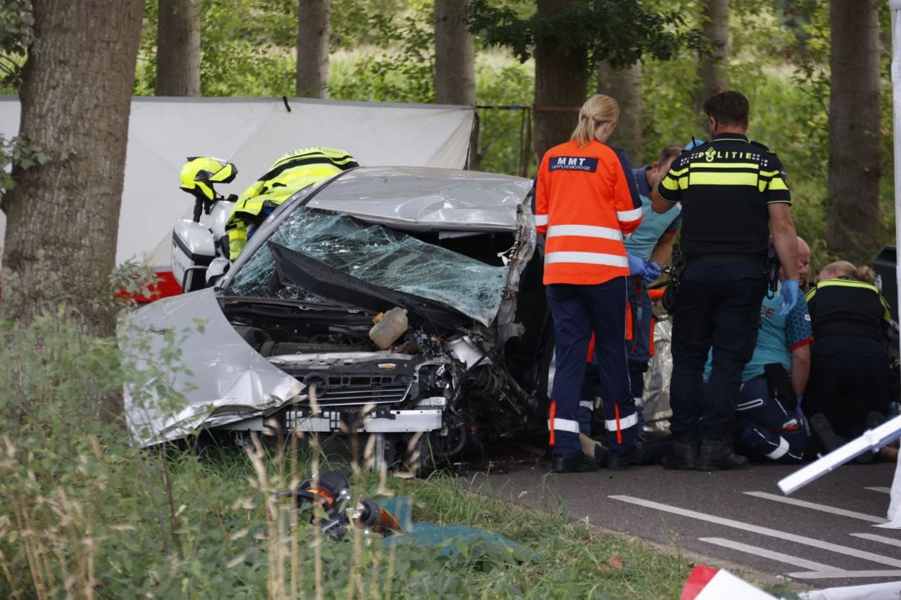 Automobilist overleden door botsing tegen boom