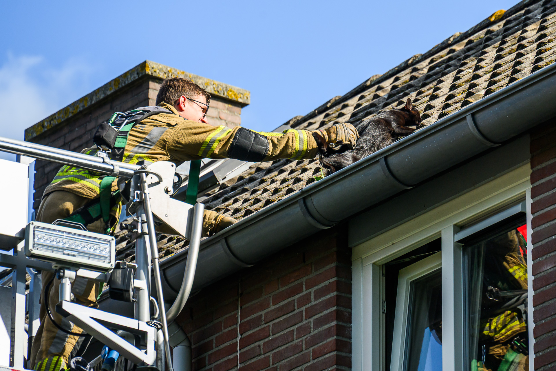 Brandweer grijpt mis bij kat in dakgoot