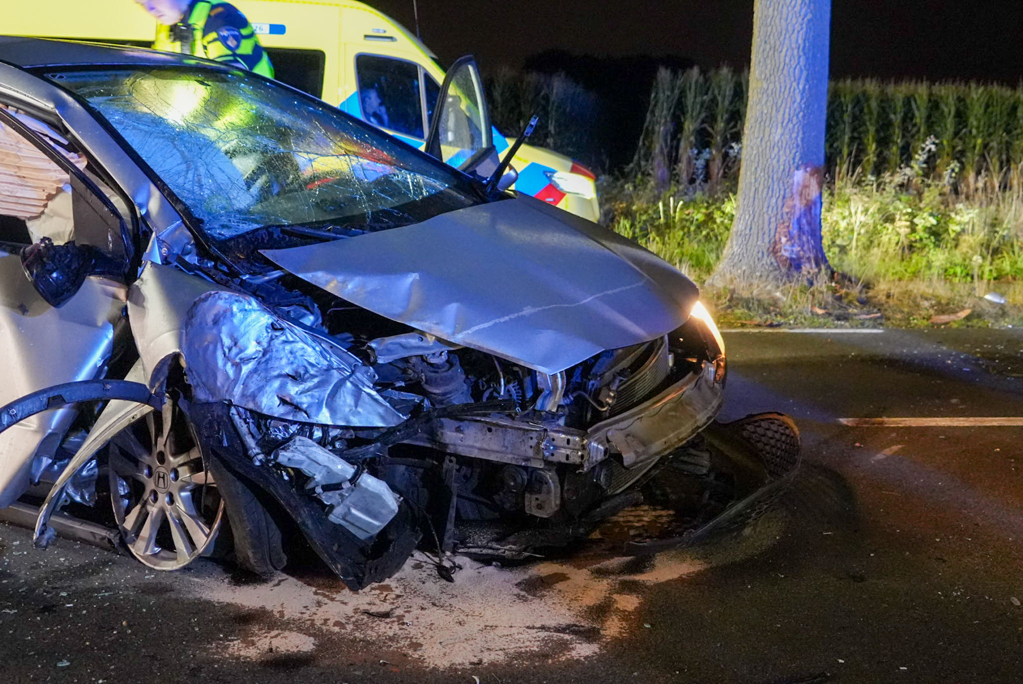 Bestuurder ernstig gewond nadat auto tegen boom botst