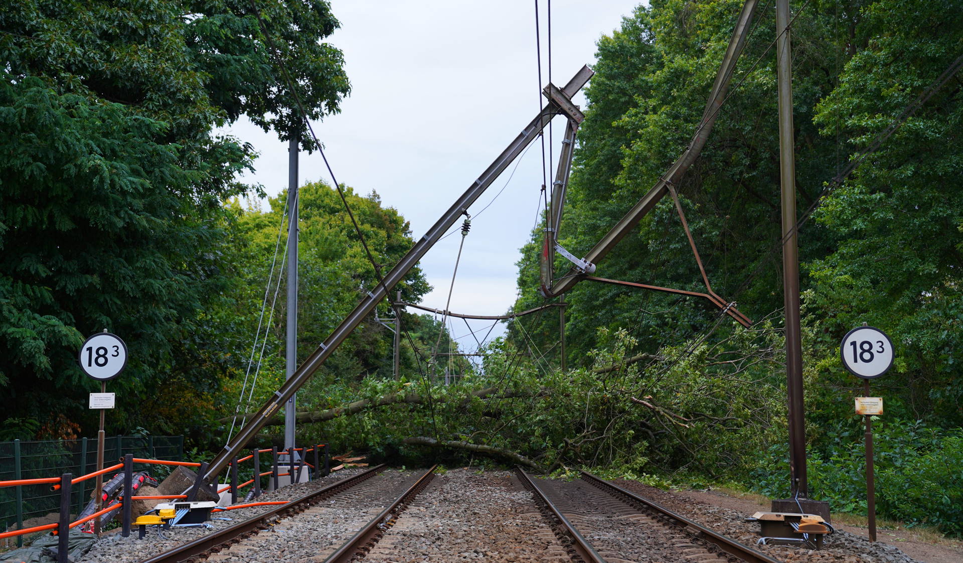 Boom op spoor: komende dagen geen treinverkeer