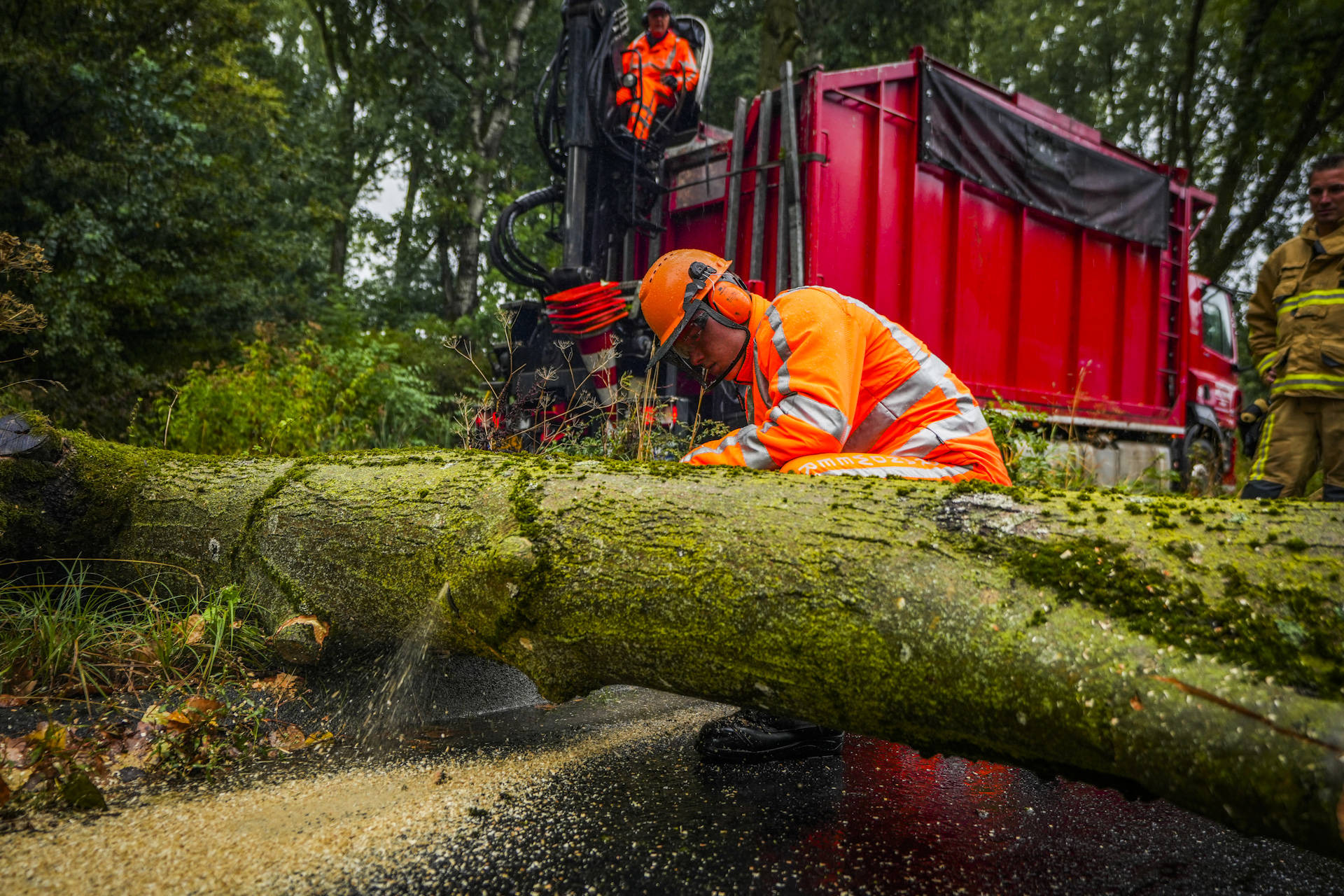 Meerdere bomen omgevallen door drassige grond