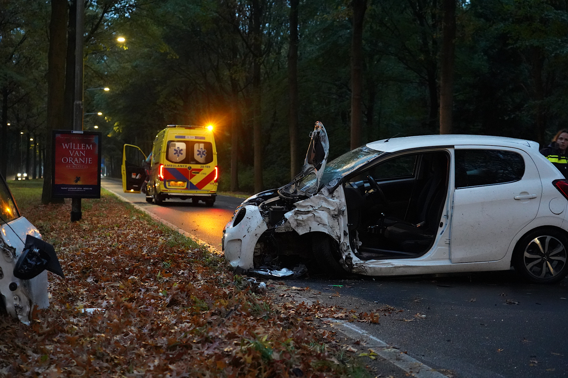 Auto botst tegen boom, bestuurder bekneld
