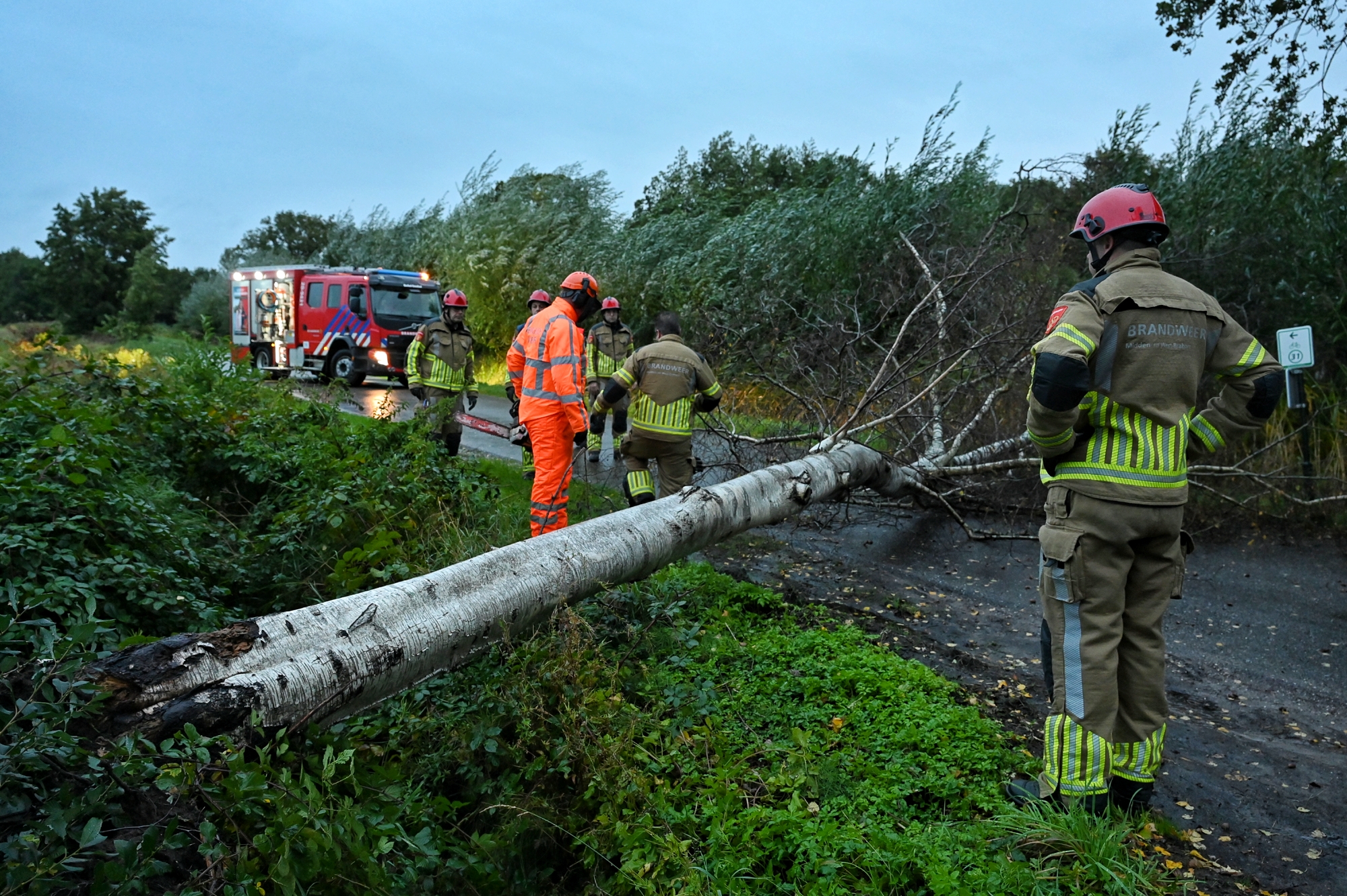 Boom waait om tijdens hevige windstoten
