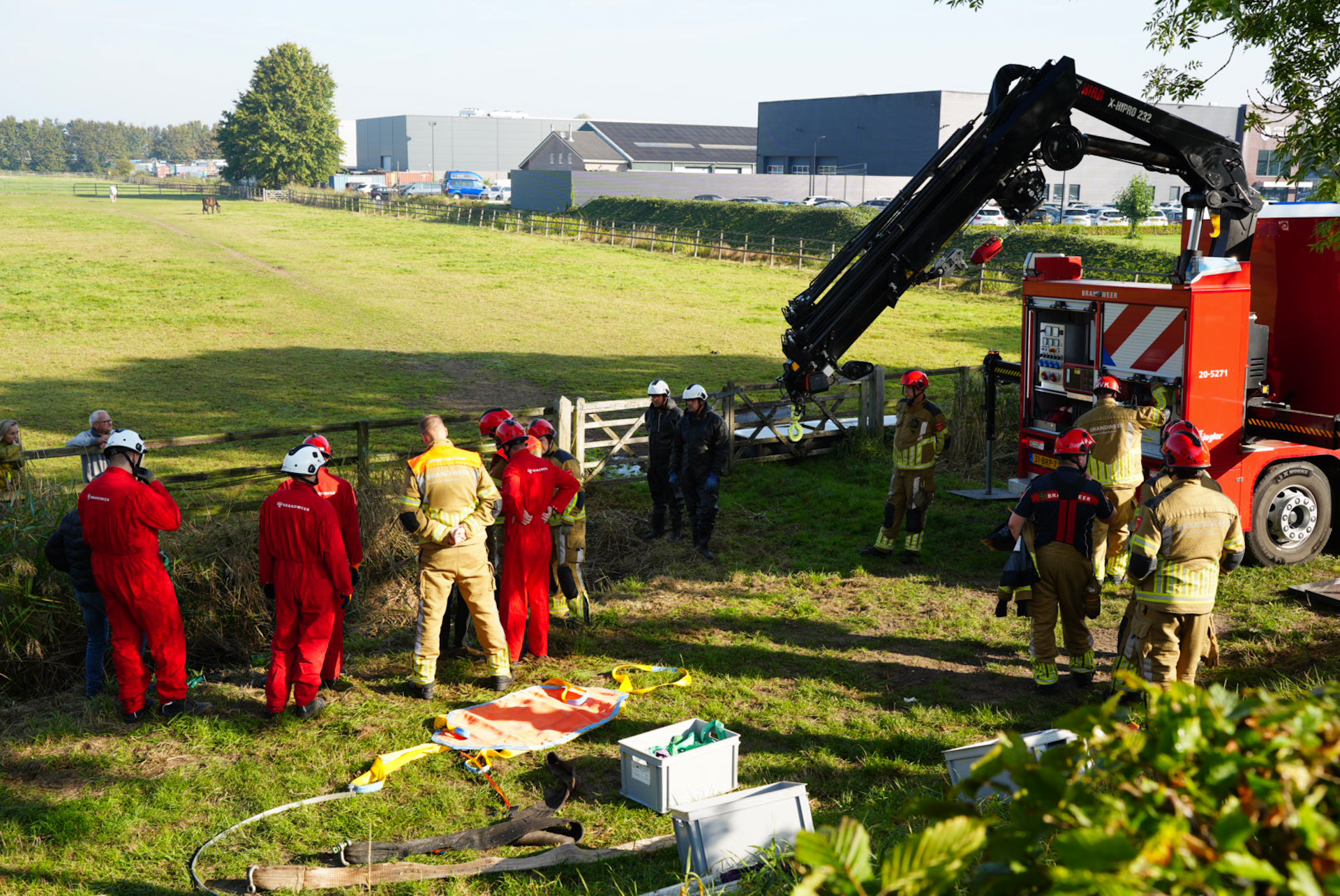 Brandweer redt paard met kraan uit sloot