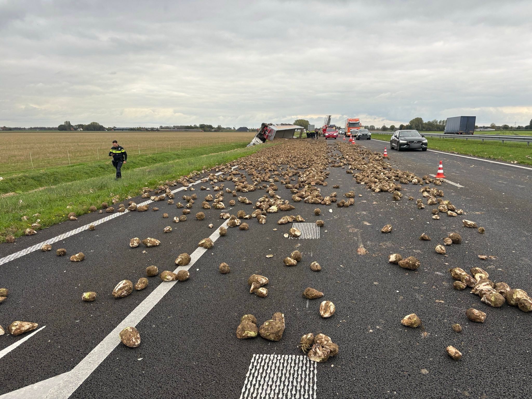 Vrachtwagen met suikerbieten kantelt op snelweg, deel van weg afgesloten