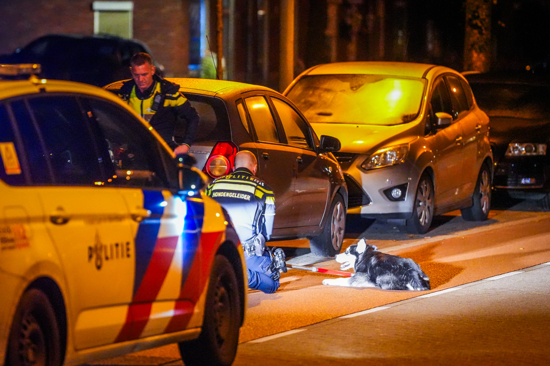 Politie vangt loslopende hond, baasje nog spoorloos