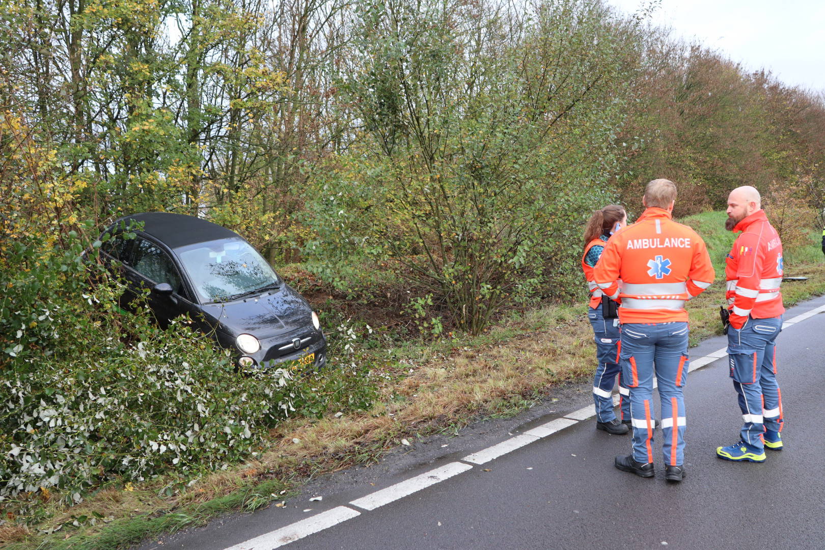 Dronken bestuurder raakt van de weg