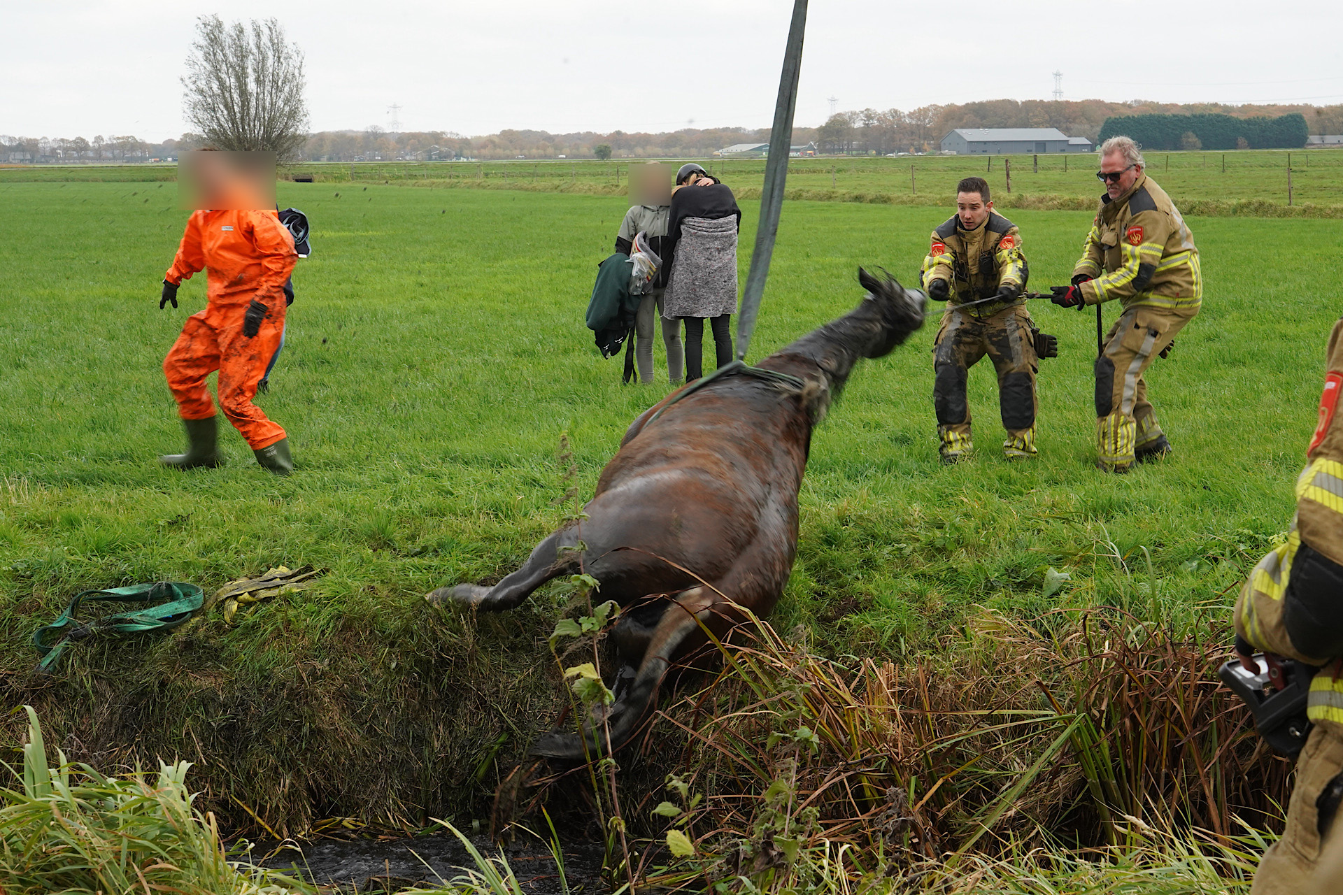 Paard met ruiter in sloot beland, brandweer schiet te hulp