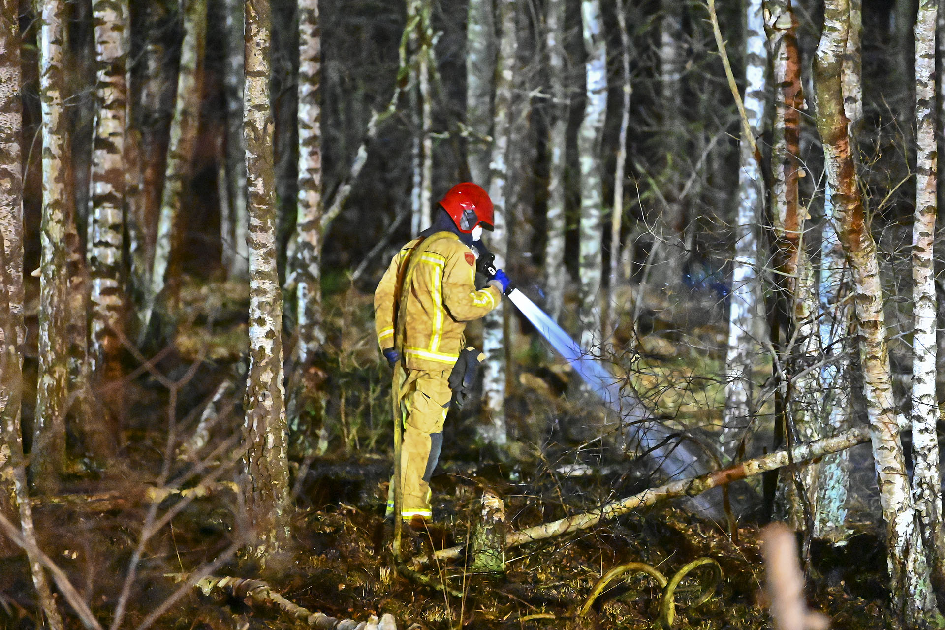 Bosbrand door mogelijk vuurwerkmortier