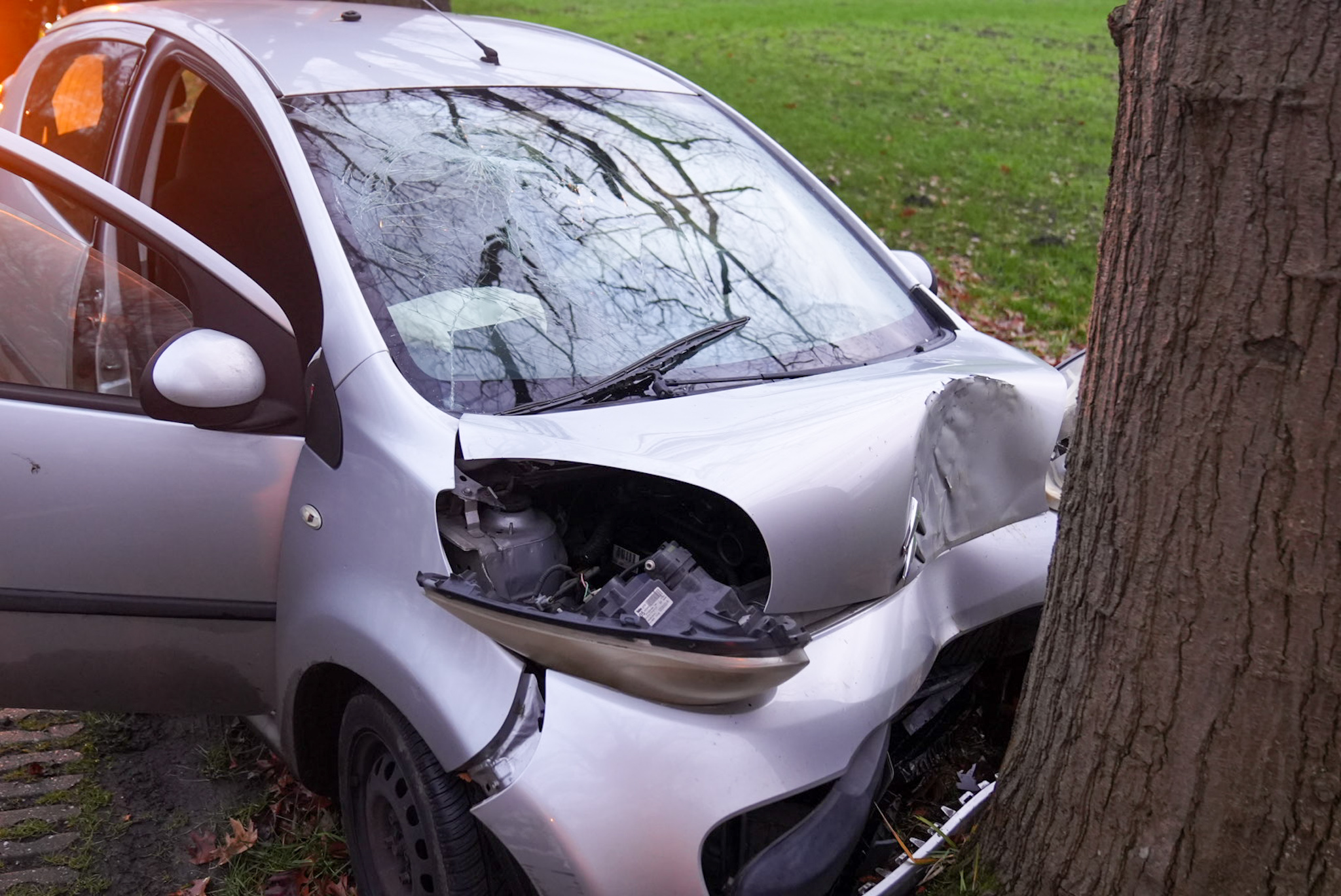 Automobilist gewond na botsing tegen boom