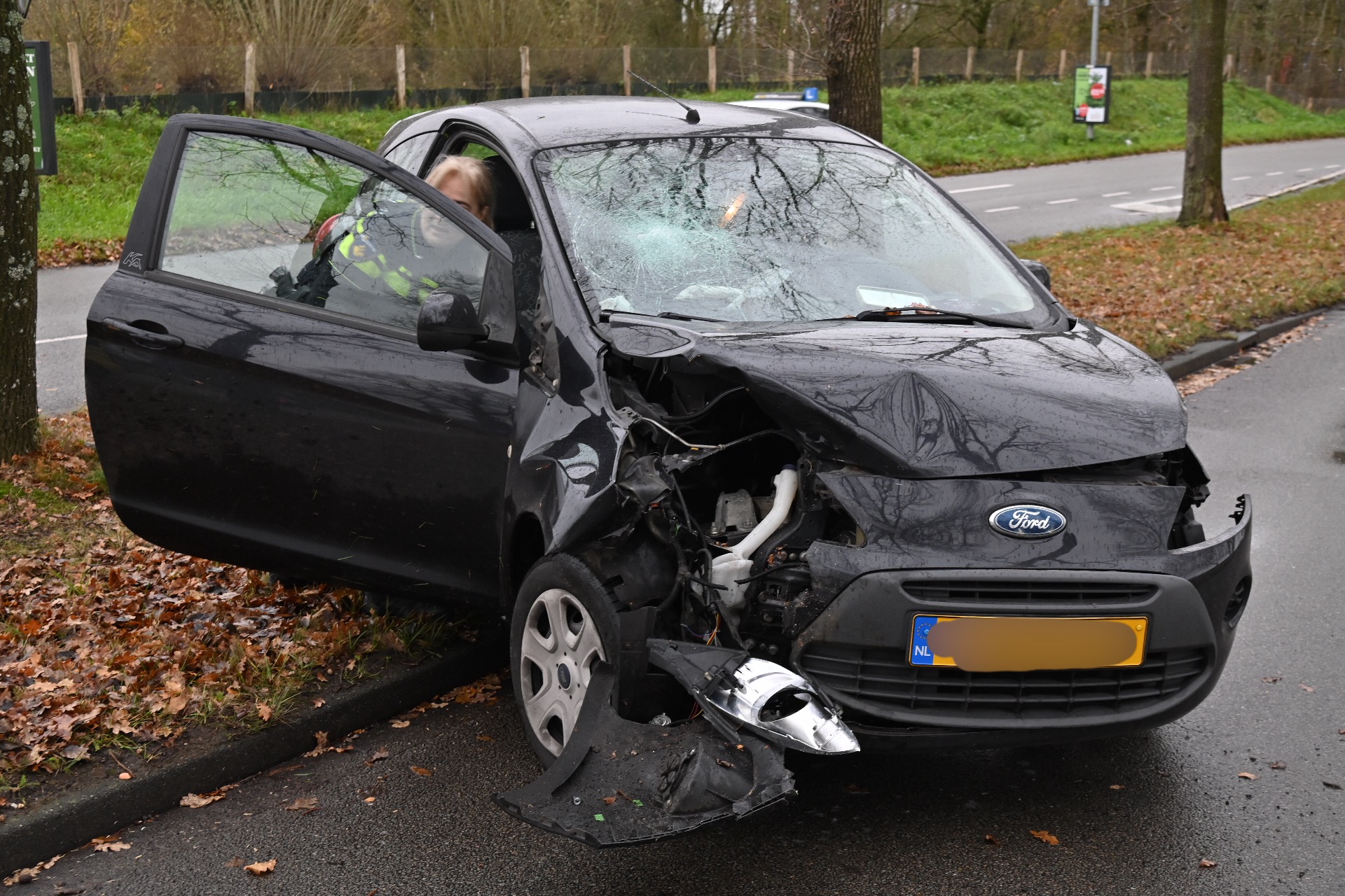Auto botst tegen boom, twee vrouwen naar ziekenhuis