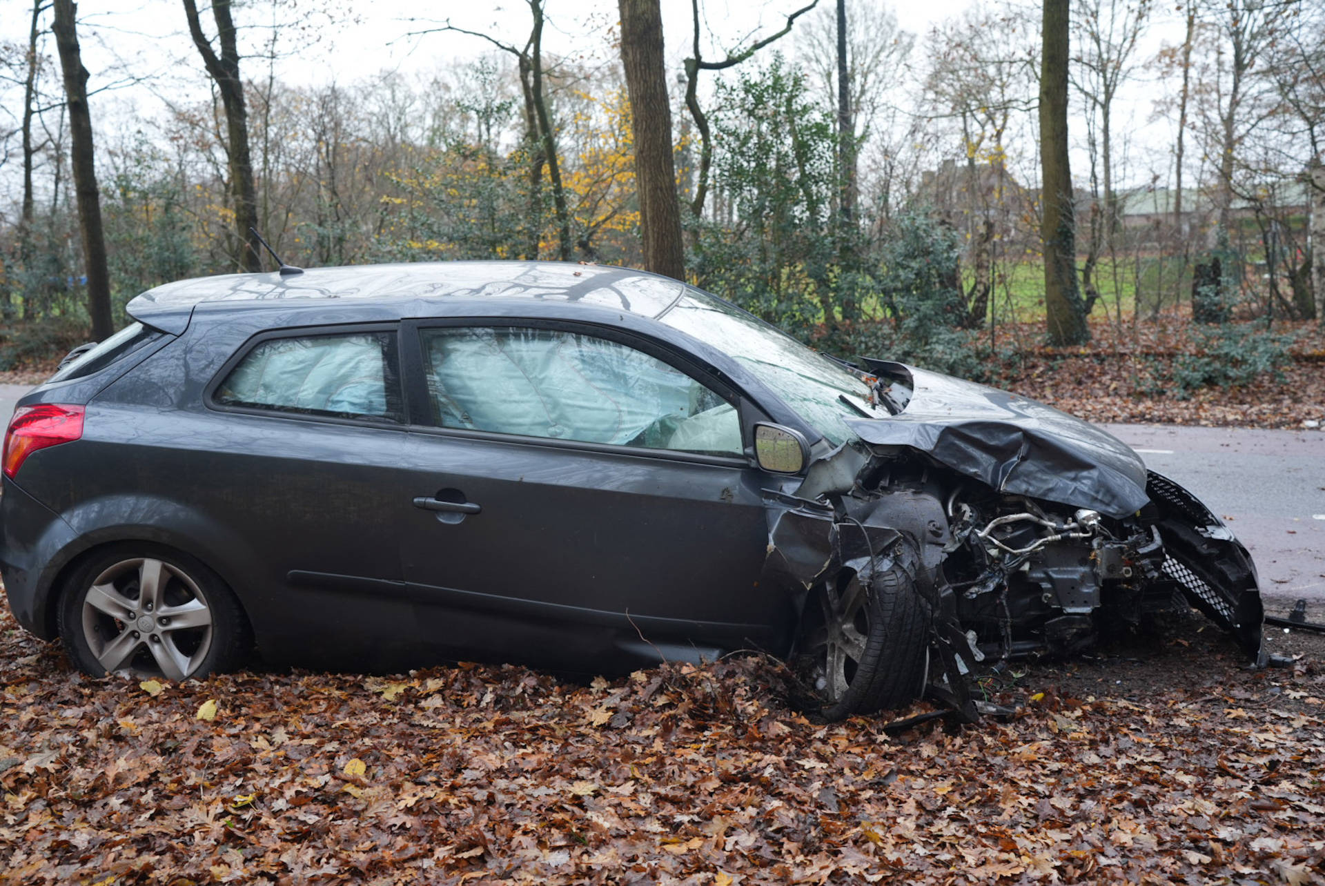 Automobilist ramt boom en raakt gewond