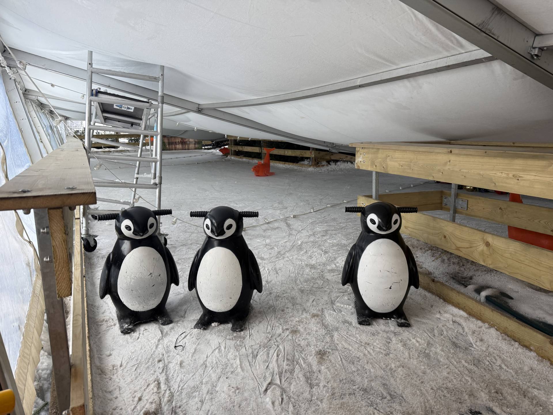 Dak van ijsbaan ingestort door hevige sneeuwval