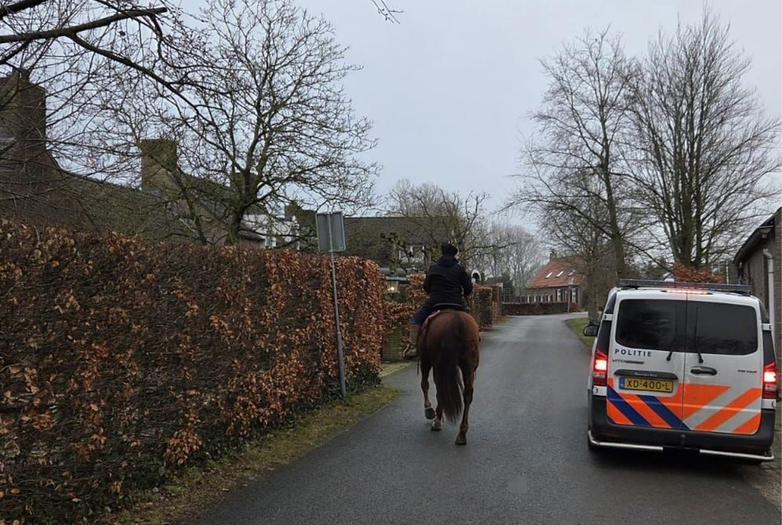 Uitgebreide zoekactie nadat gezadeld paard zonder ruiter wordt gevonden
