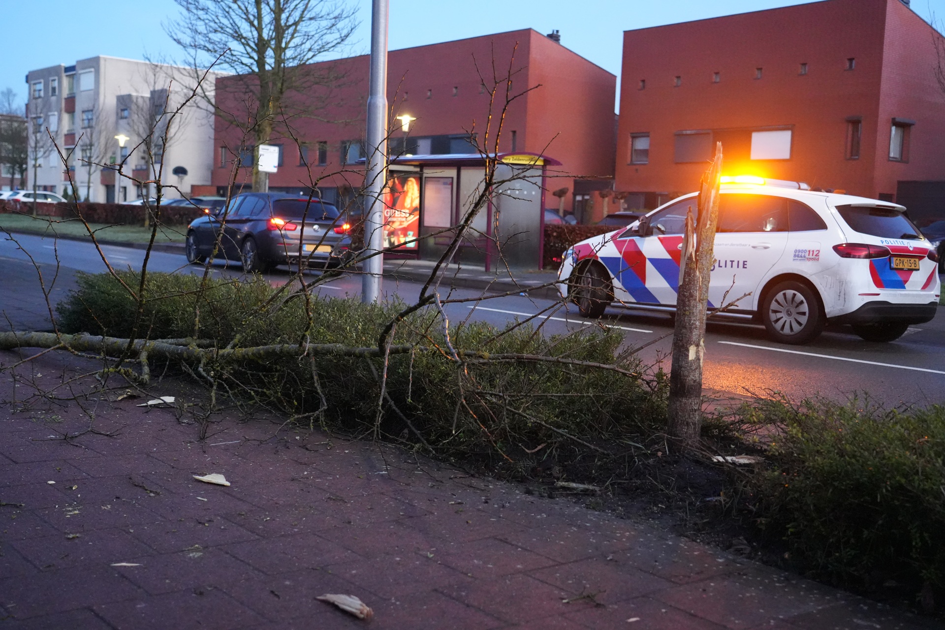 Beschonken bestuurder rijdt boom omver
