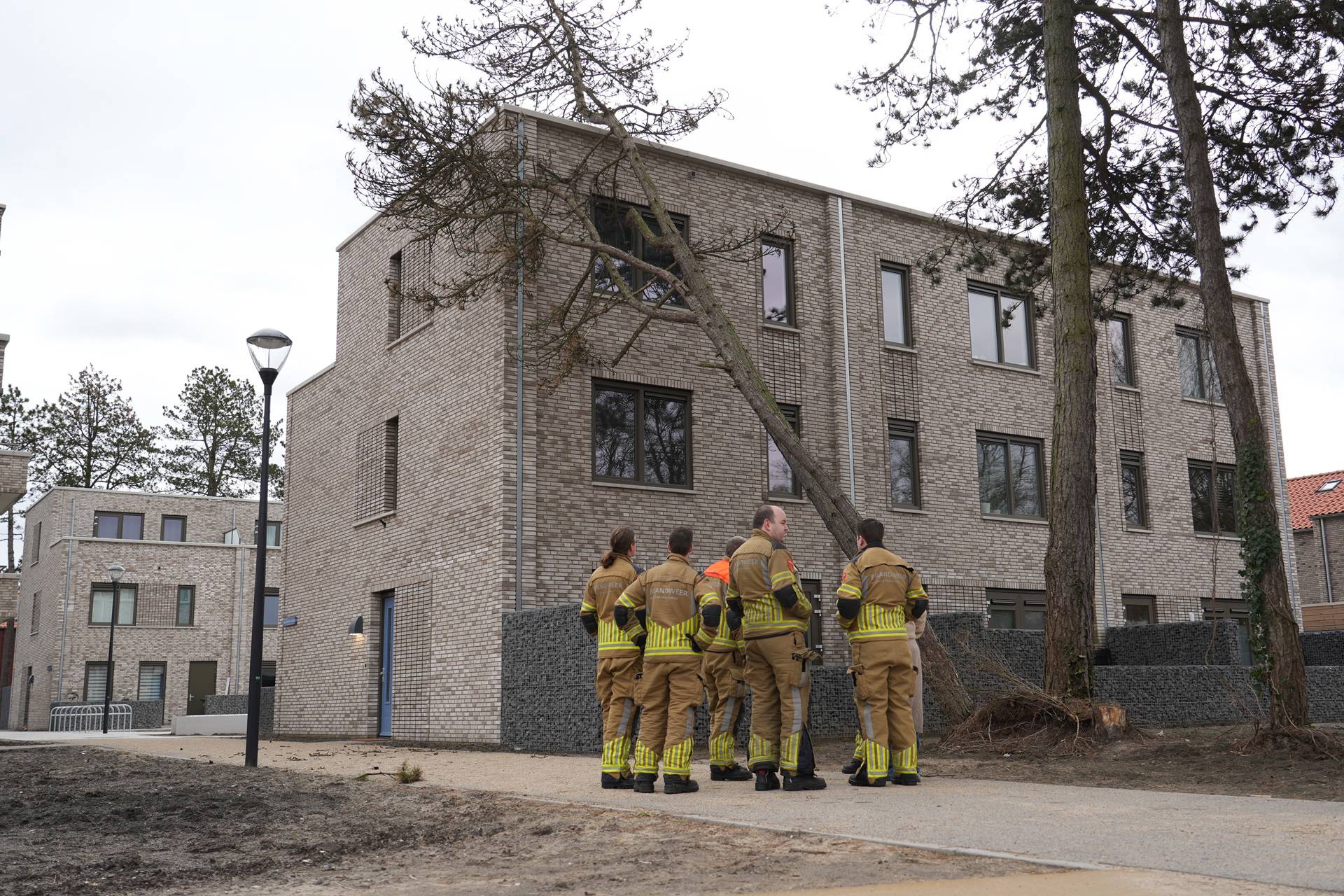 Boom waait om tegen gevel van woning