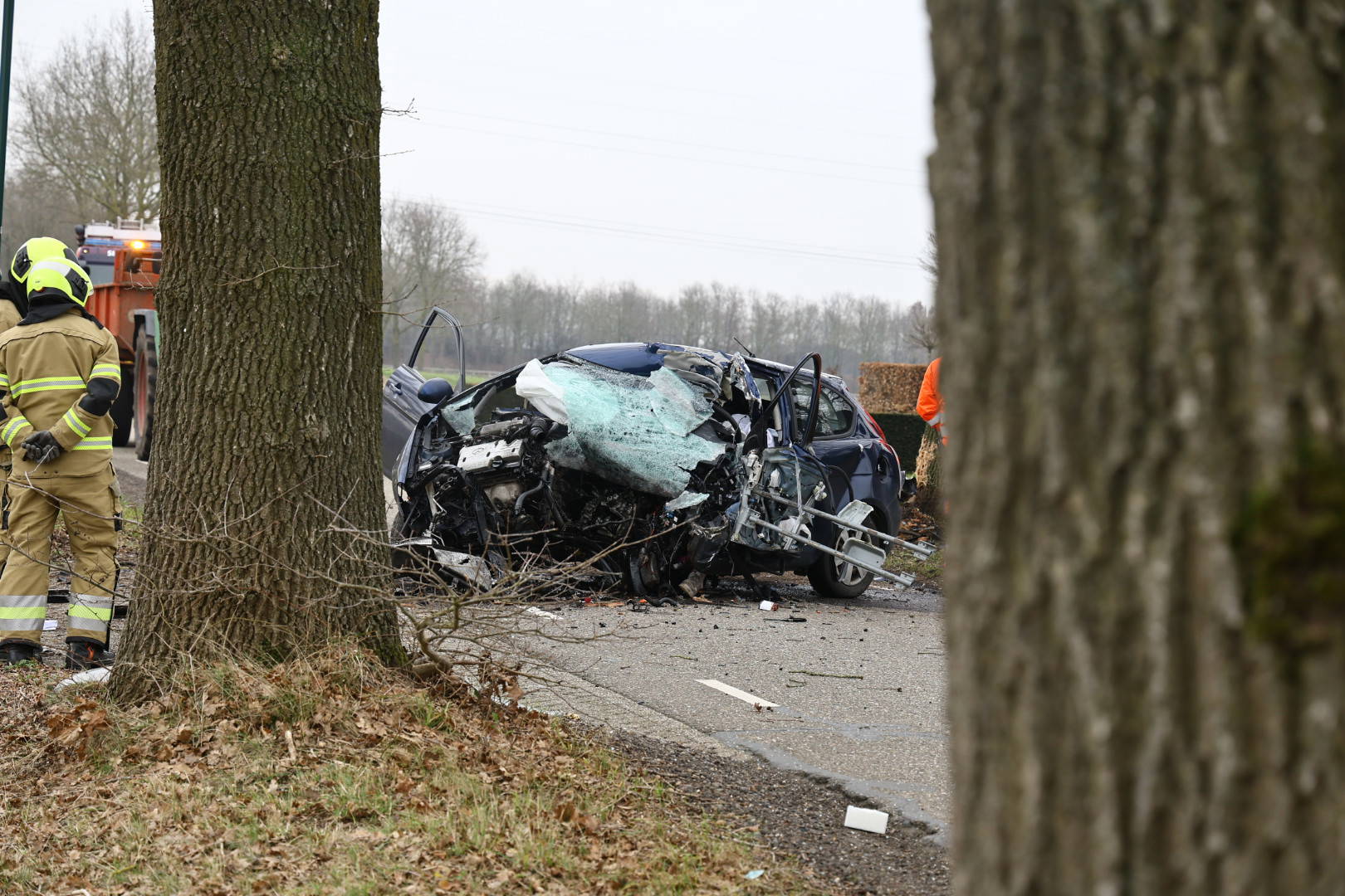 Auto rijdt tegen boom, bestuurder overleden